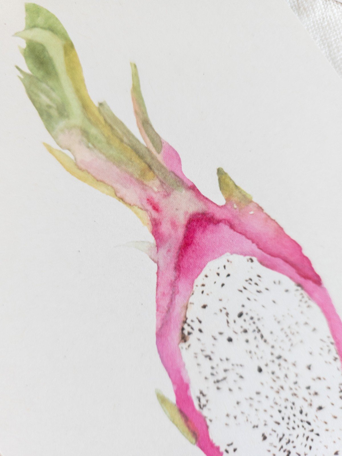 Dragon Fruit Kaart | Handgeschilderde wenskaart – Anna-Mae Studio - 90810 Dragon Fruit Kaart | Handgeschilderde wenskaart – Anna-Mae Studio