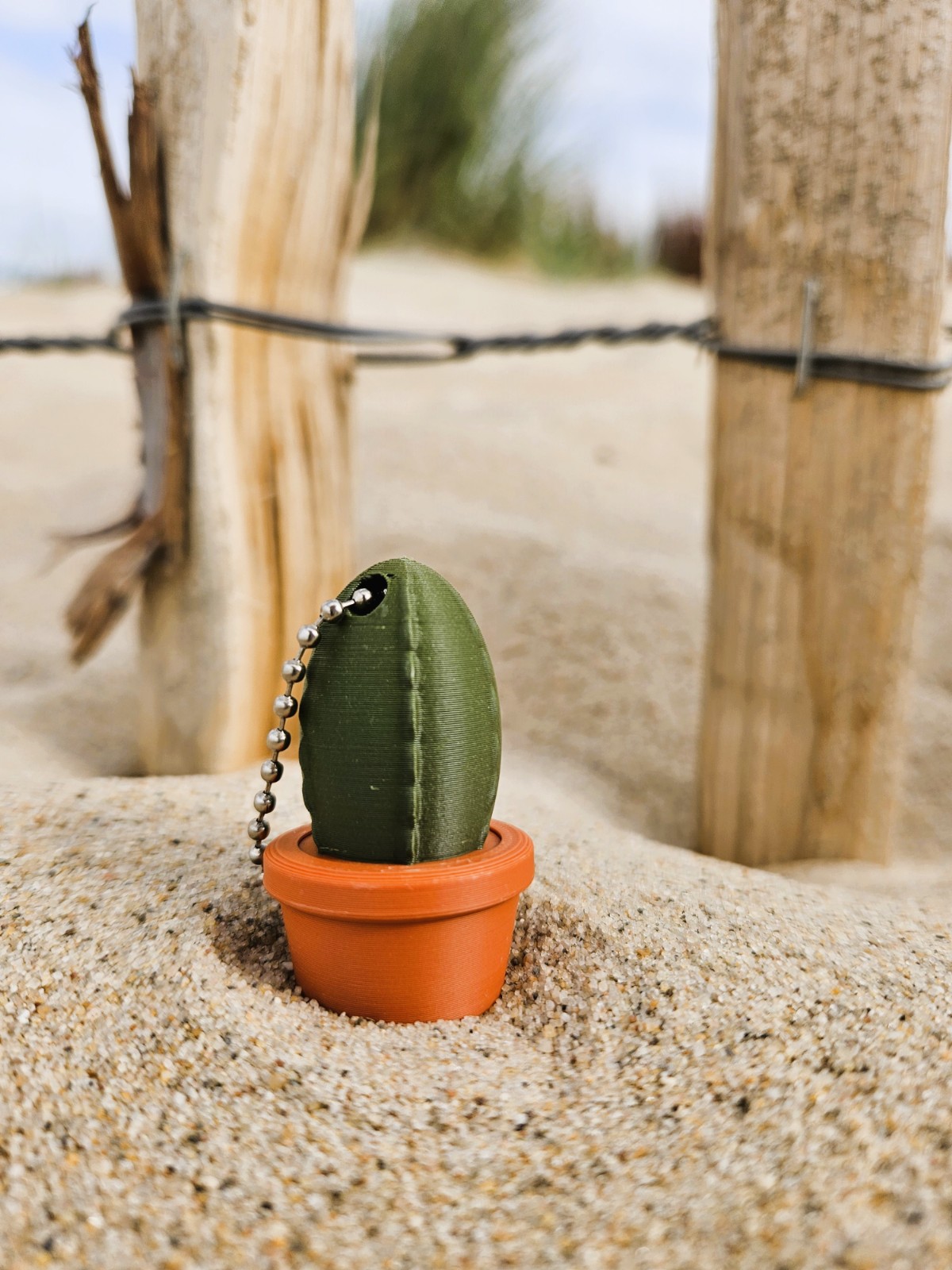 Sleutelhanger Cactus - 95251 Sleutelhanger Cactus