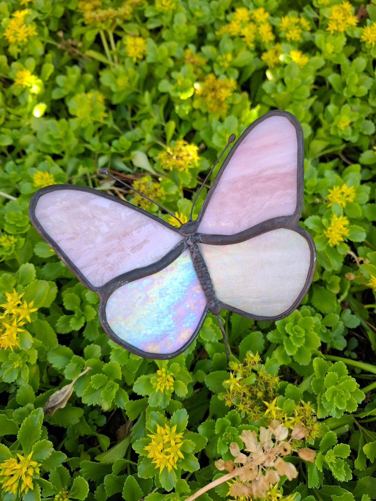 Glas in lood vlinder roze/wit - 98978 Glas in lood vlinder roze/wit