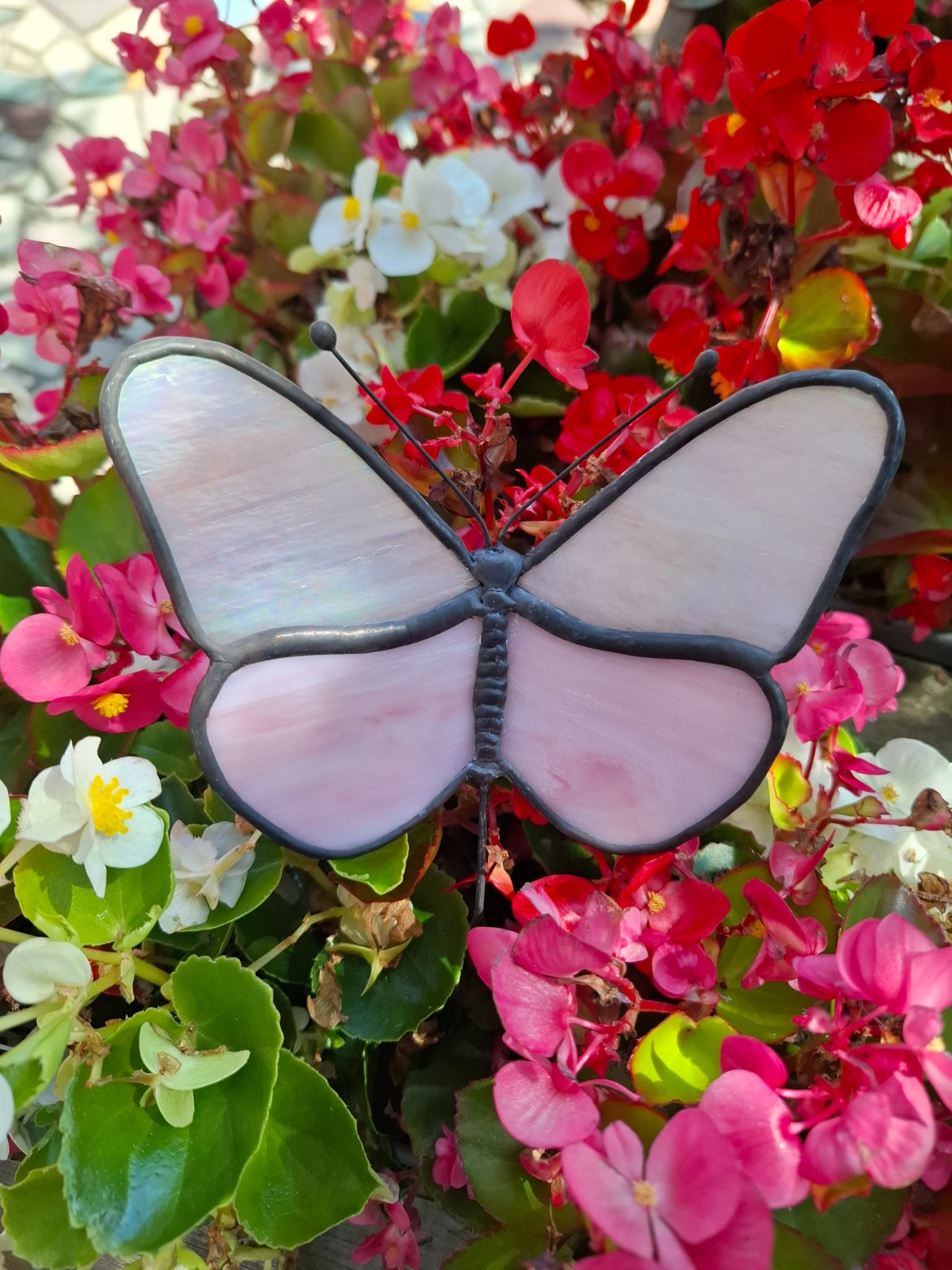 Glas in lood vlinder wit/roze - 98981 Glas in lood vlinder wit/roze