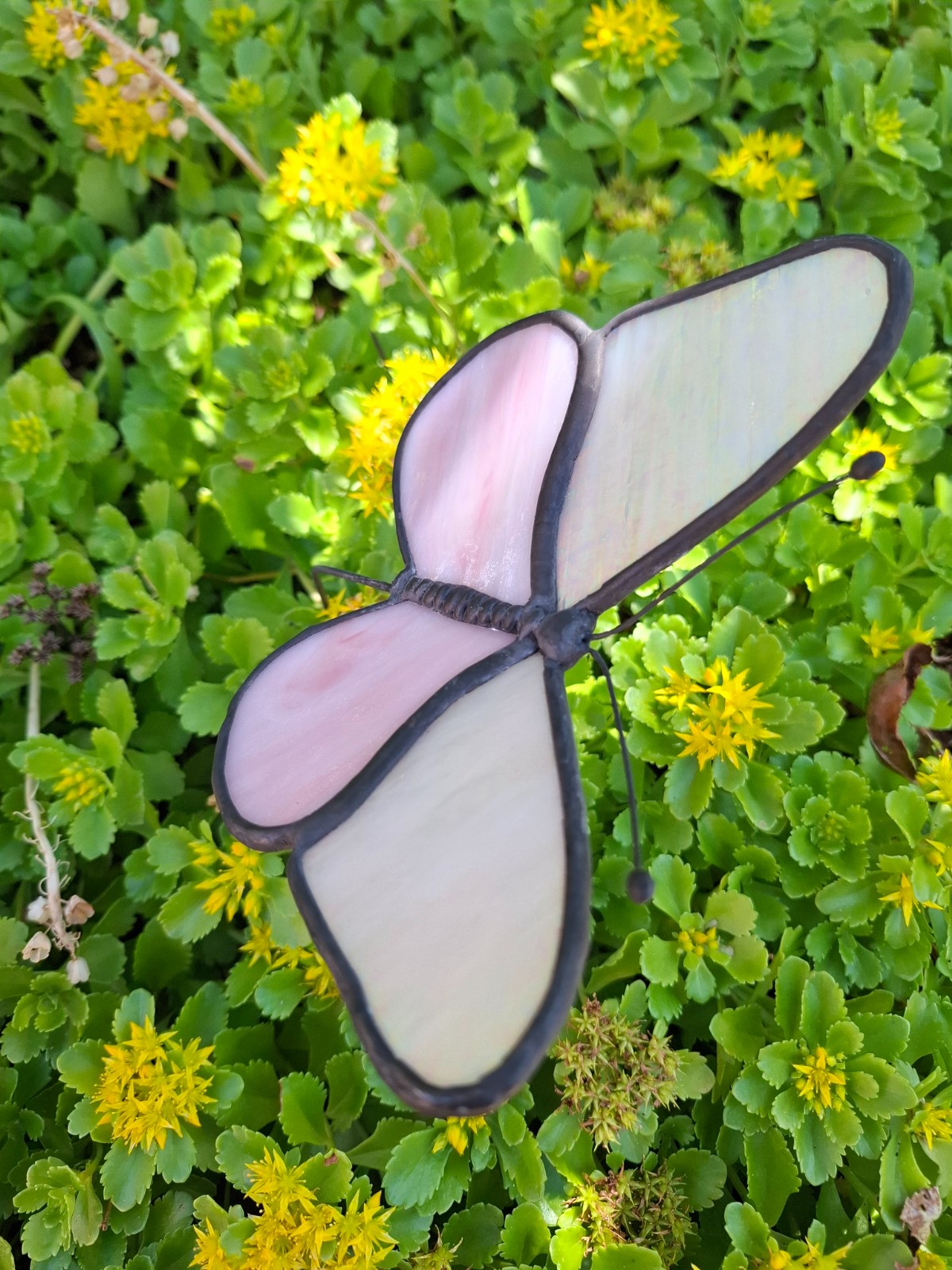 Glas in lood vlinder wit/roze - 98982 Glas in lood vlinder wit/roze