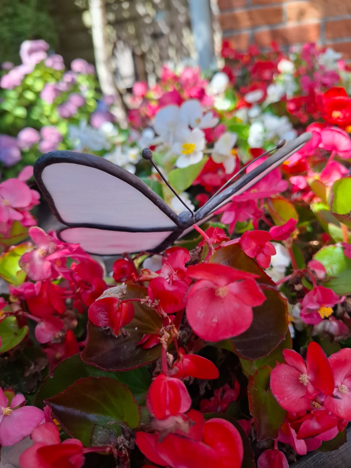 Glas in lood vlinder wit/roze - 98983 Glas in lood vlinder wit/roze