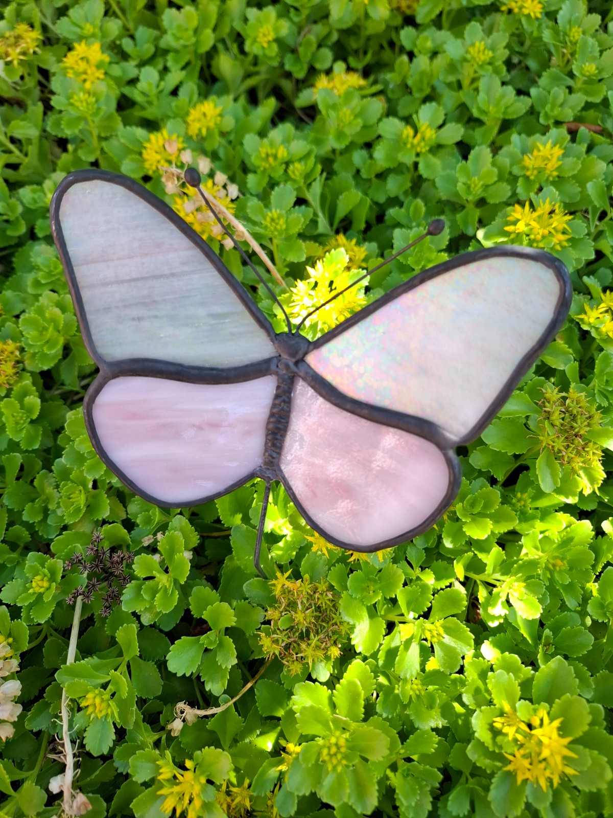 Glas in lood vlinder wit/roze - 98985 Glas in lood vlinder wit/roze