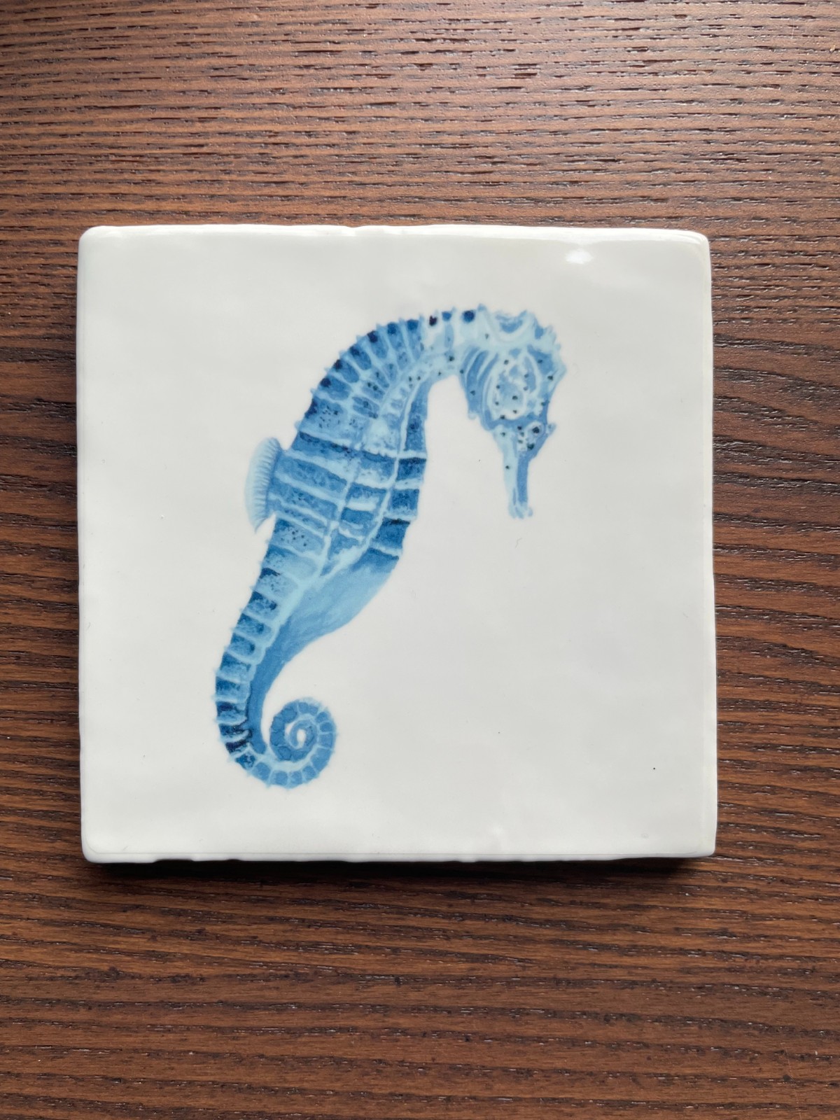 Tegeltje wit - Zeepaardje blauw - 100347 Tegeltje wit - Zeepaardje aquarel