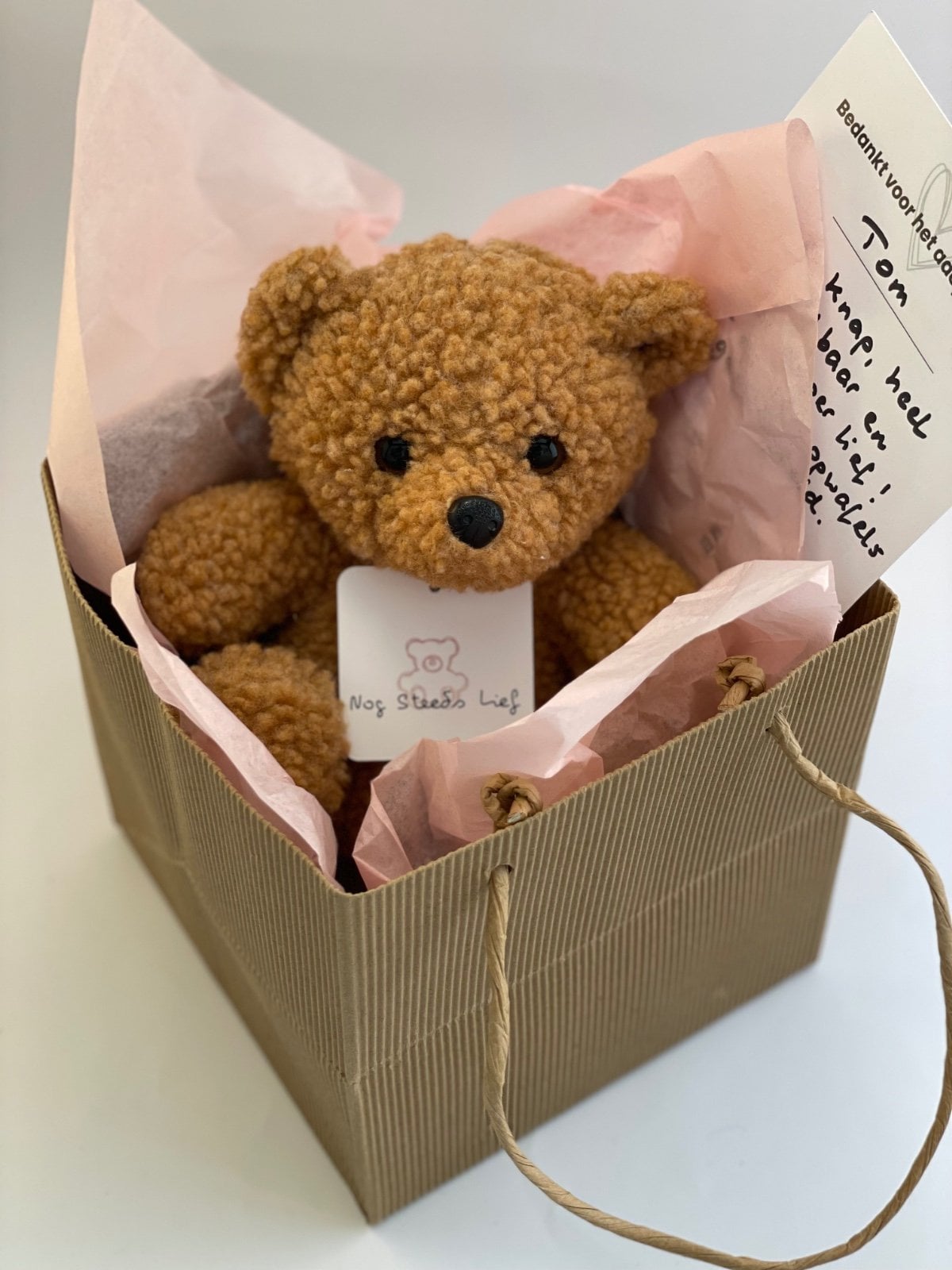 Pre-Loved knuffel dino Stijn, knuffeldier, dinosaurus