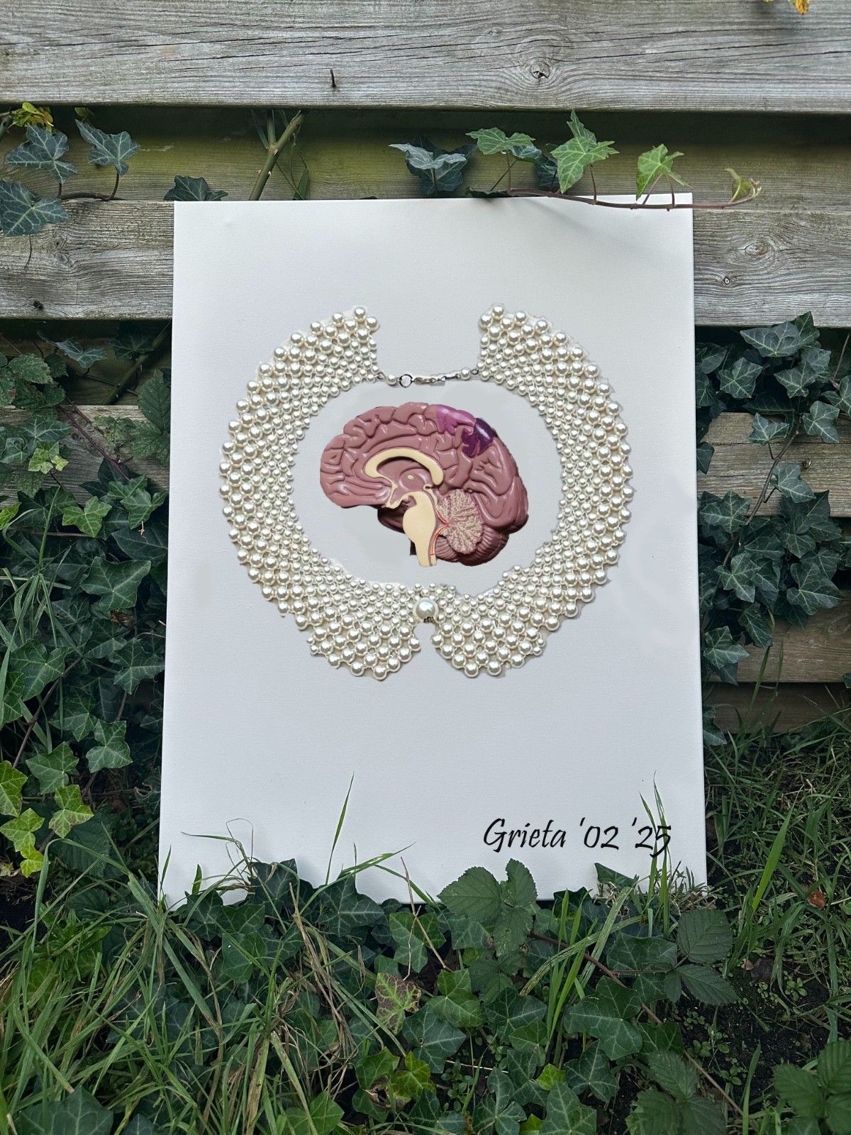 Jouw Sier”raad” dat Horus heet