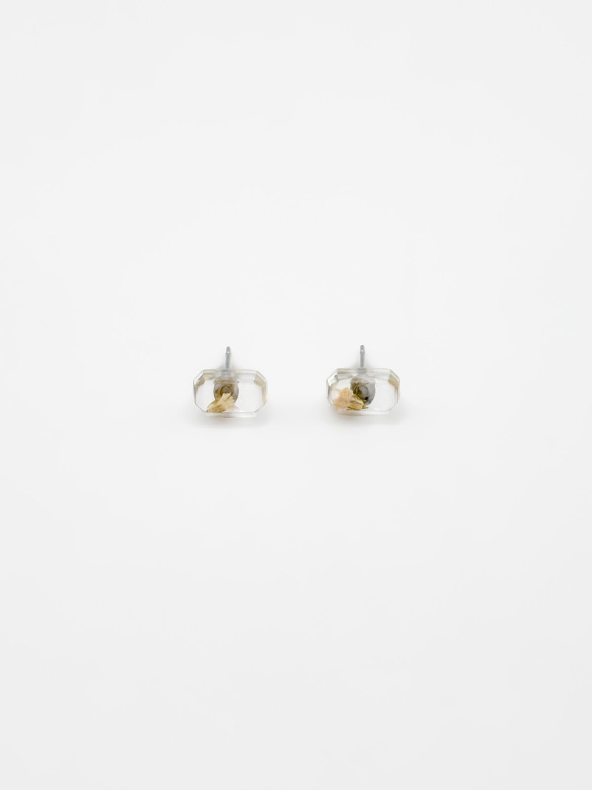 Rechthoekige Mini Knopjes met Echt Gipskruid (The Classics)