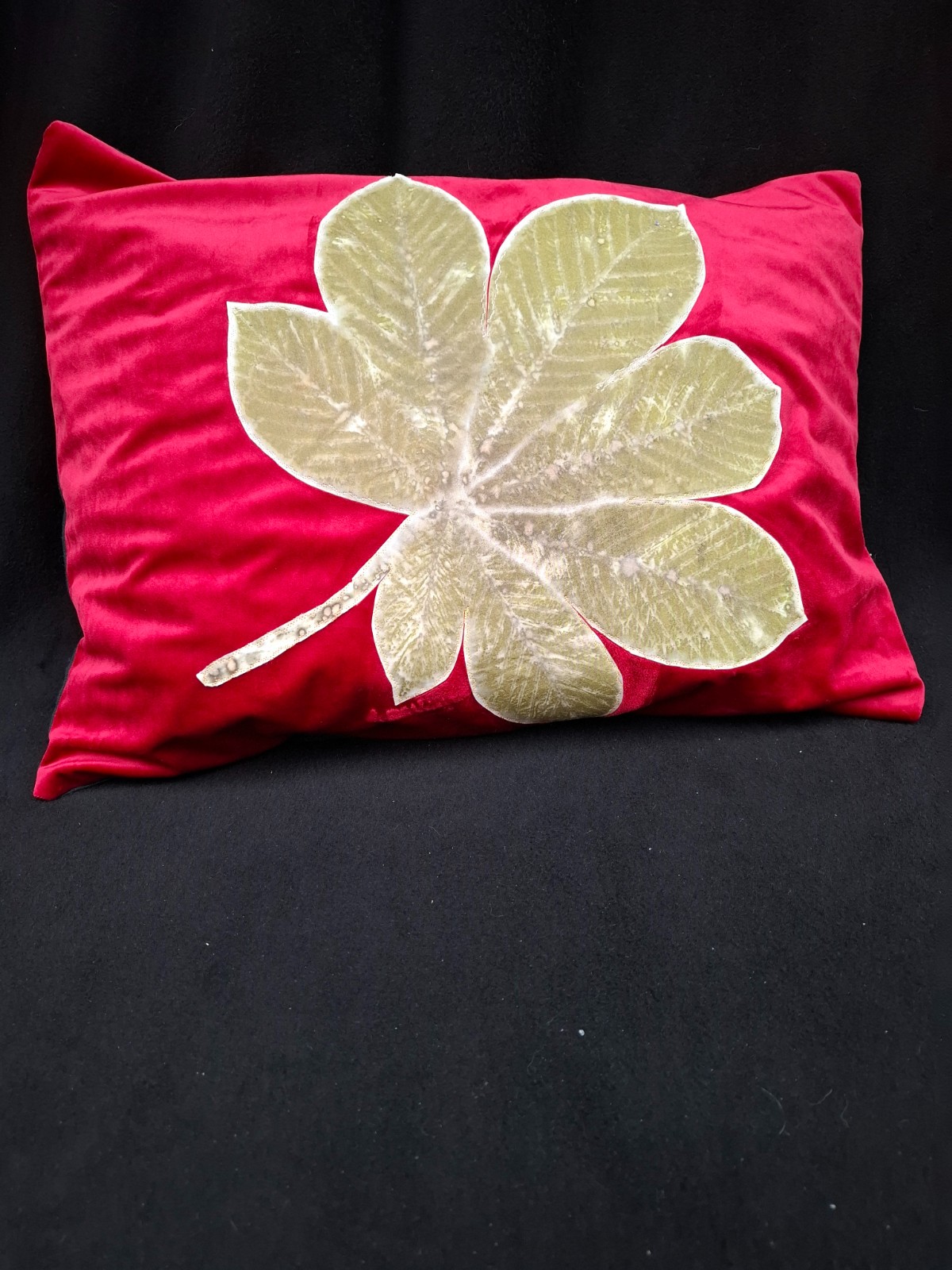 Rood velours Sierkussen