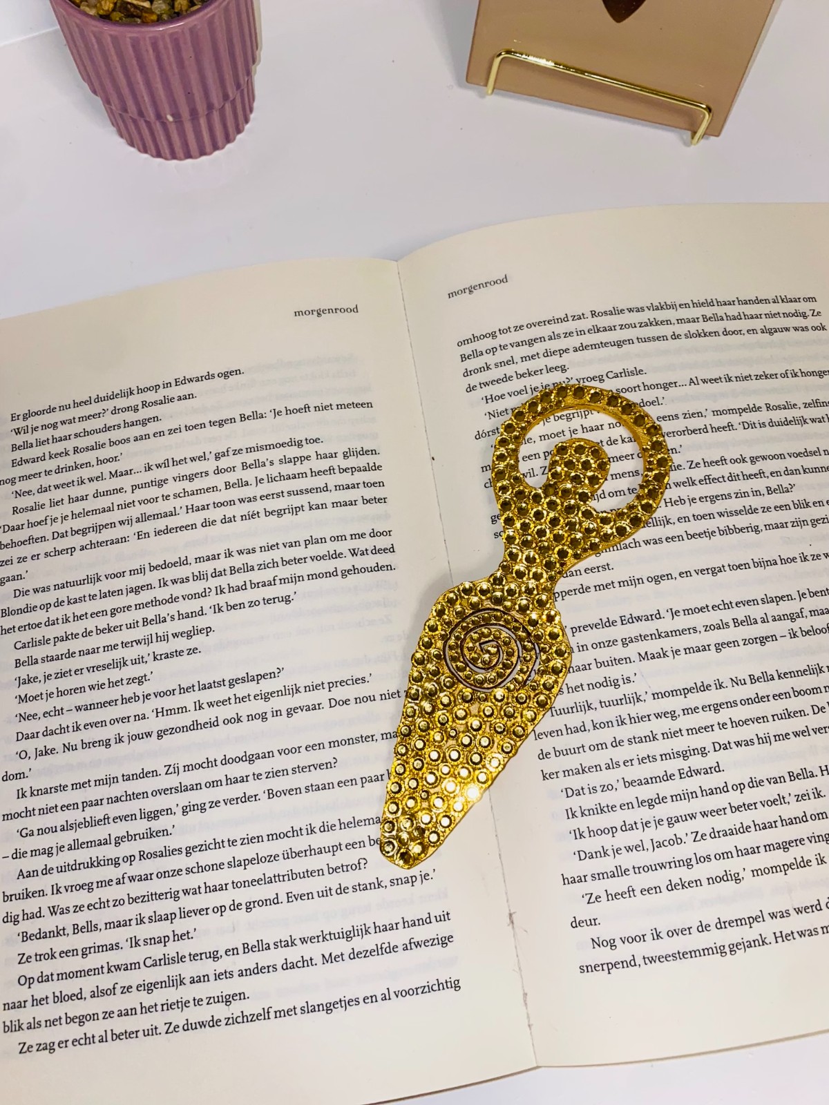 ✨ Gouden Bladwijzer ✨