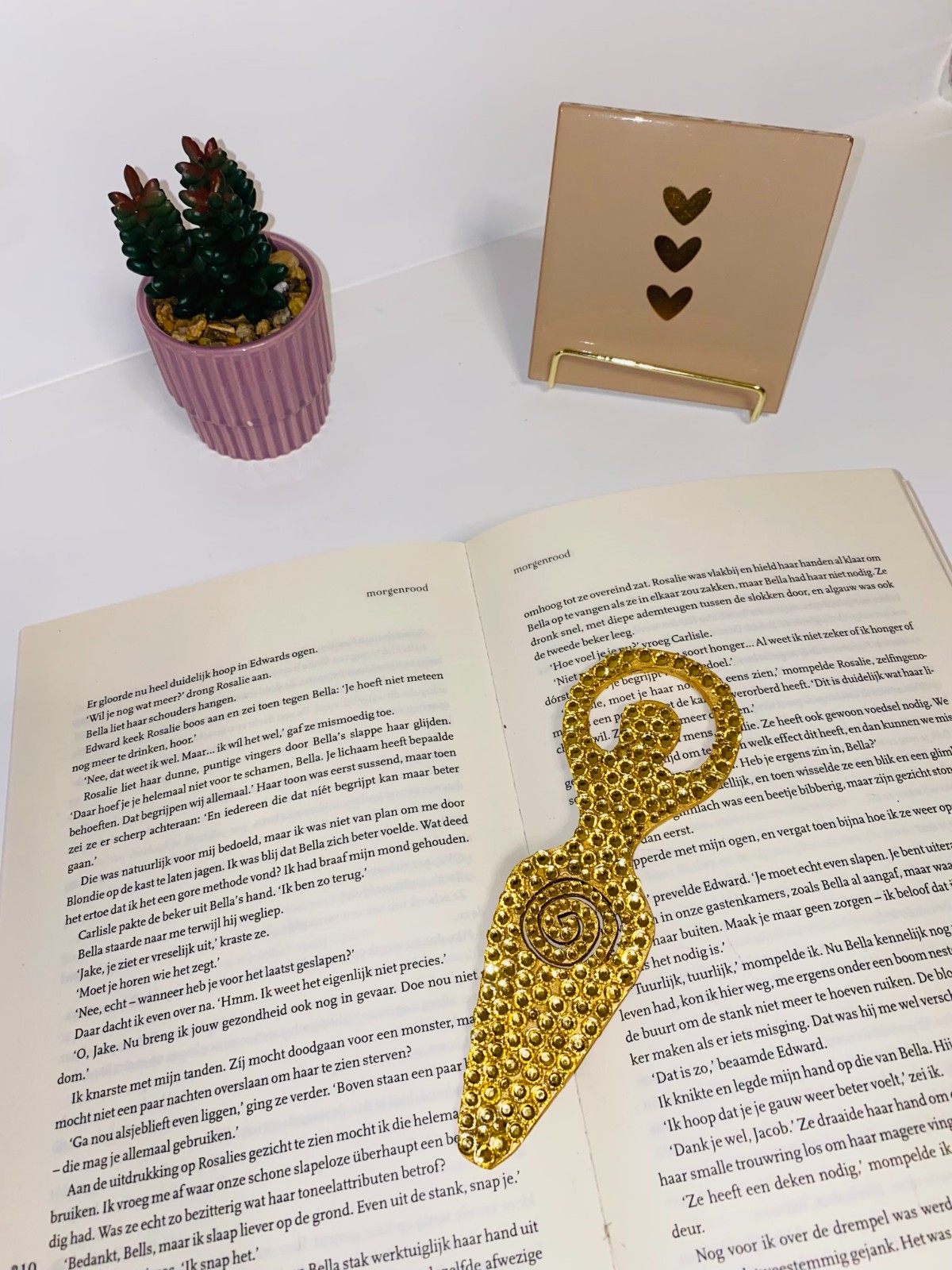 ✨ Gouden Bladwijzer ✨