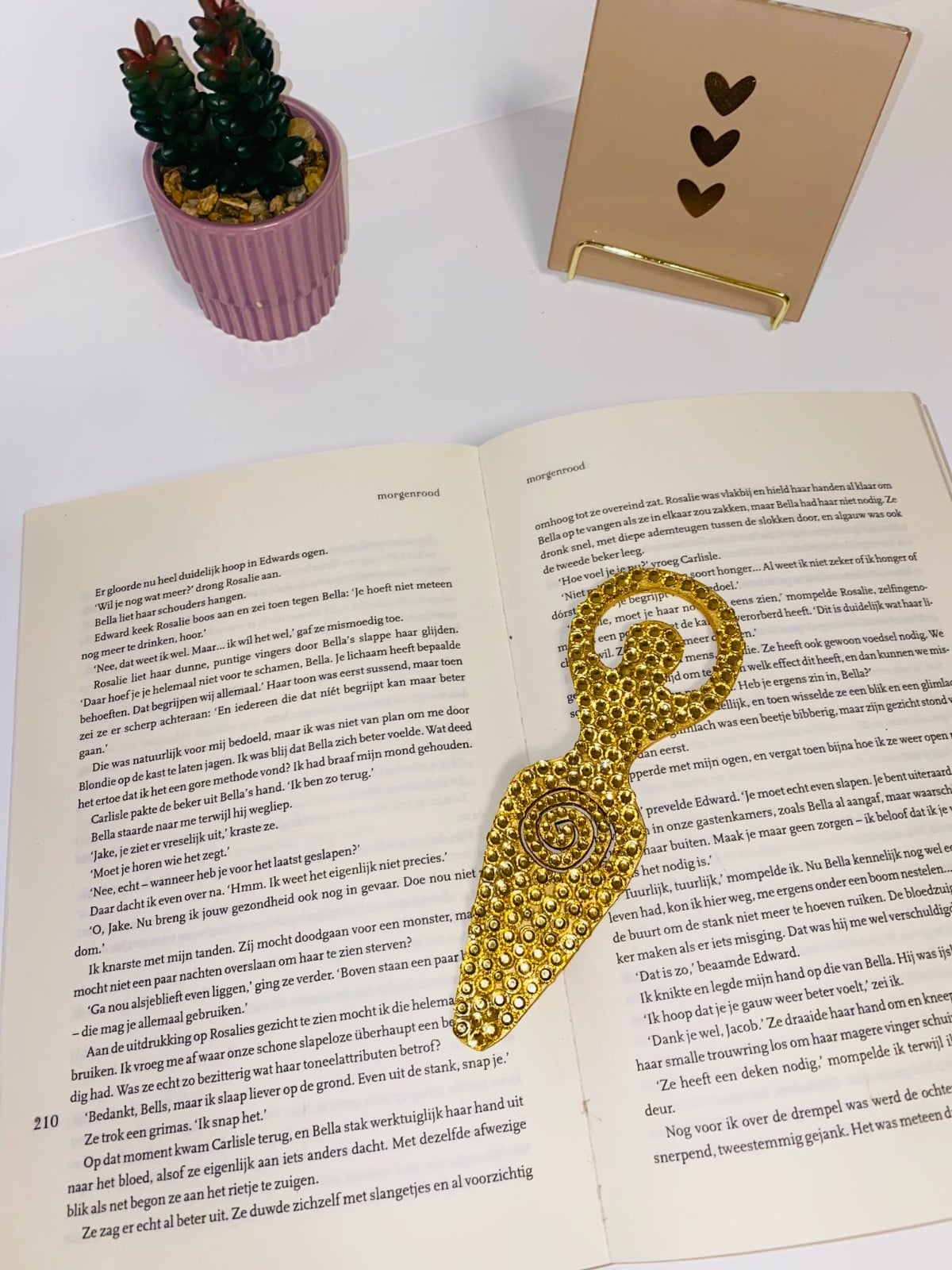 ✨ Gouden Bladwijzer ✨