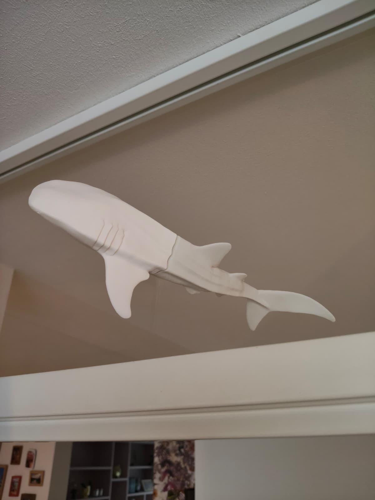 Whaleshark window art - White