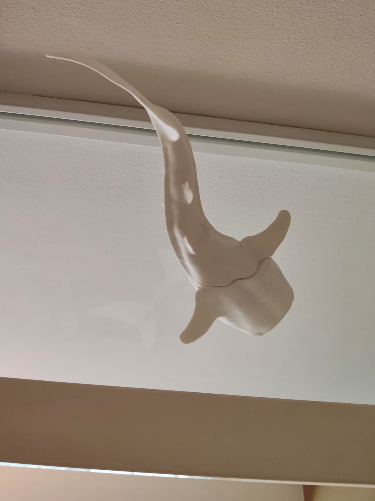 Whaleshark window art - White