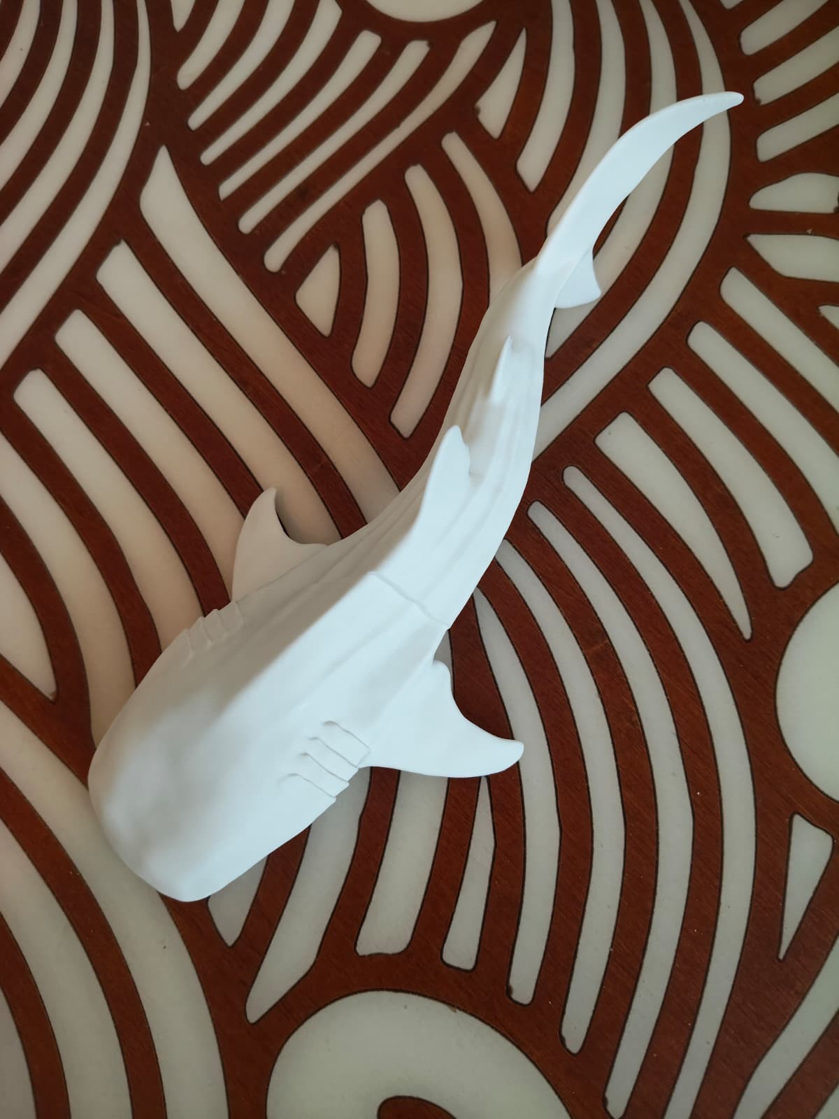 Whaleshark window art - White