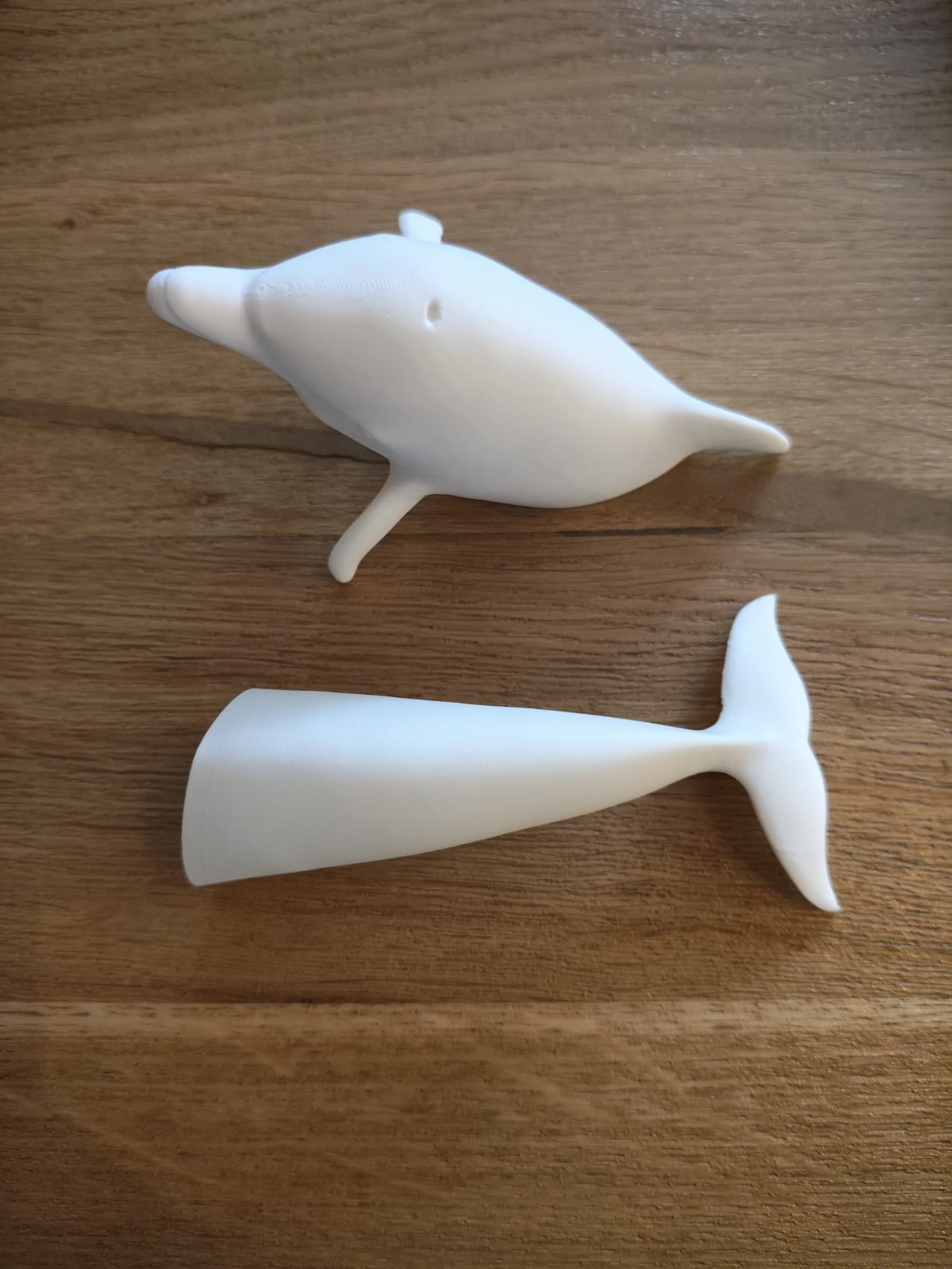 White dolphin window art