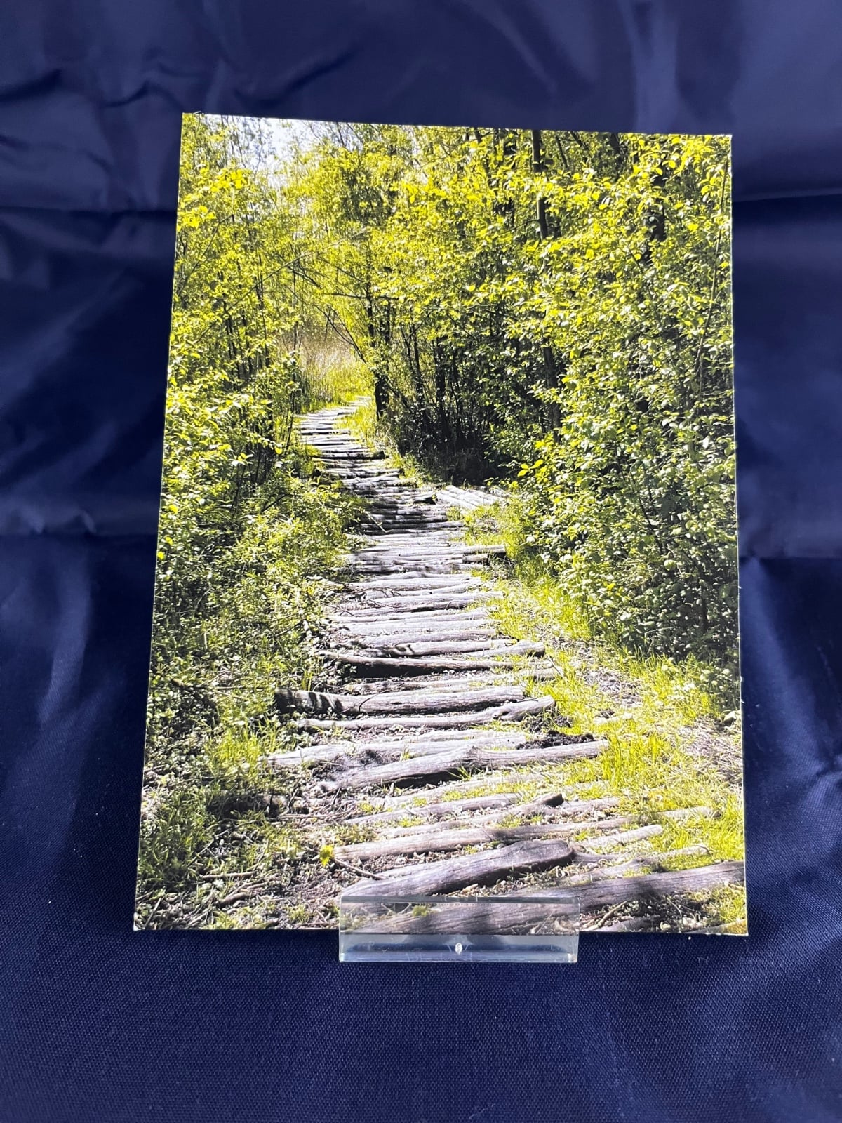 Ansichtkaart Pad door het Bos — set van 10