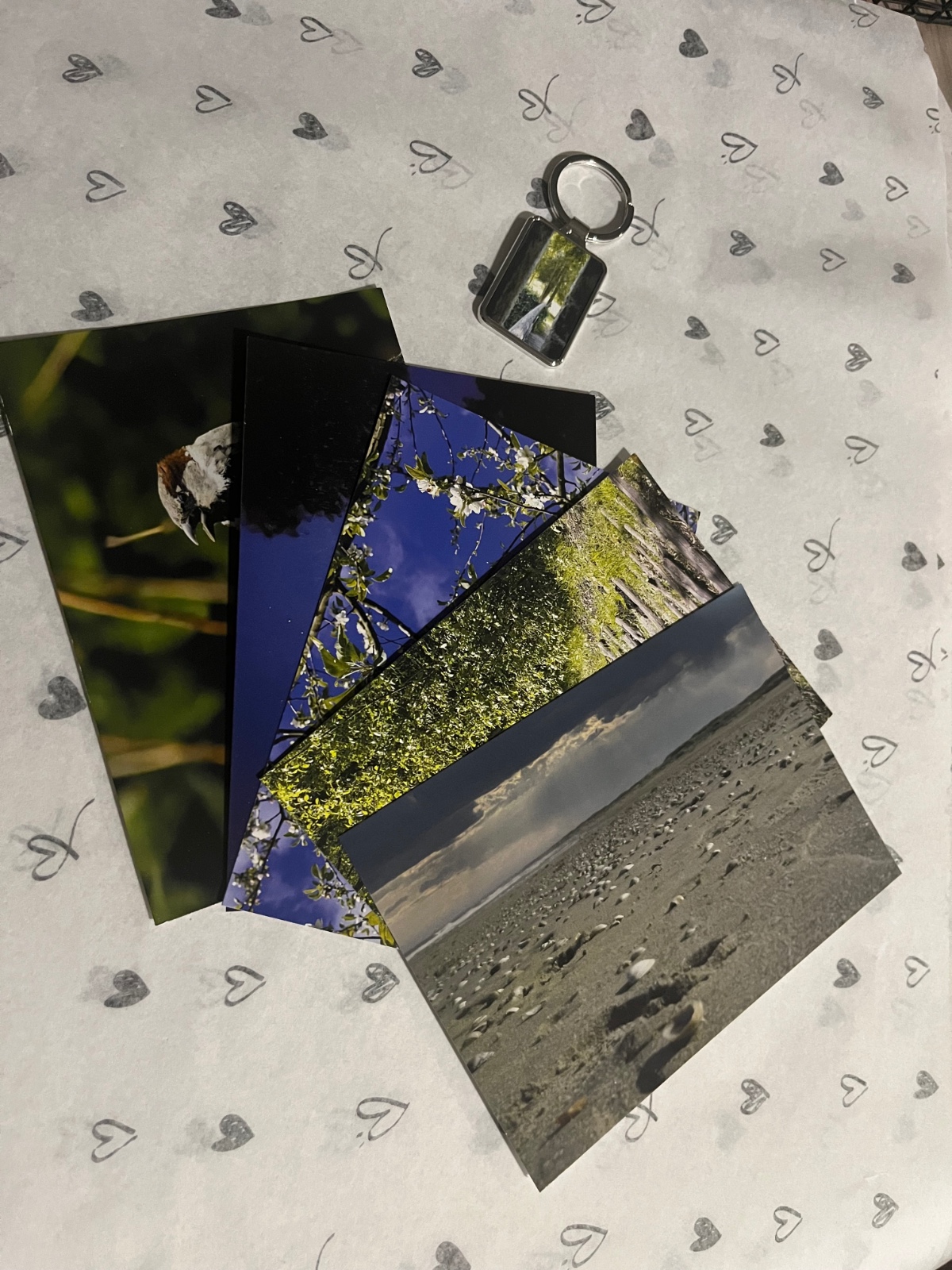 Ansichtkaart set van 5 designs