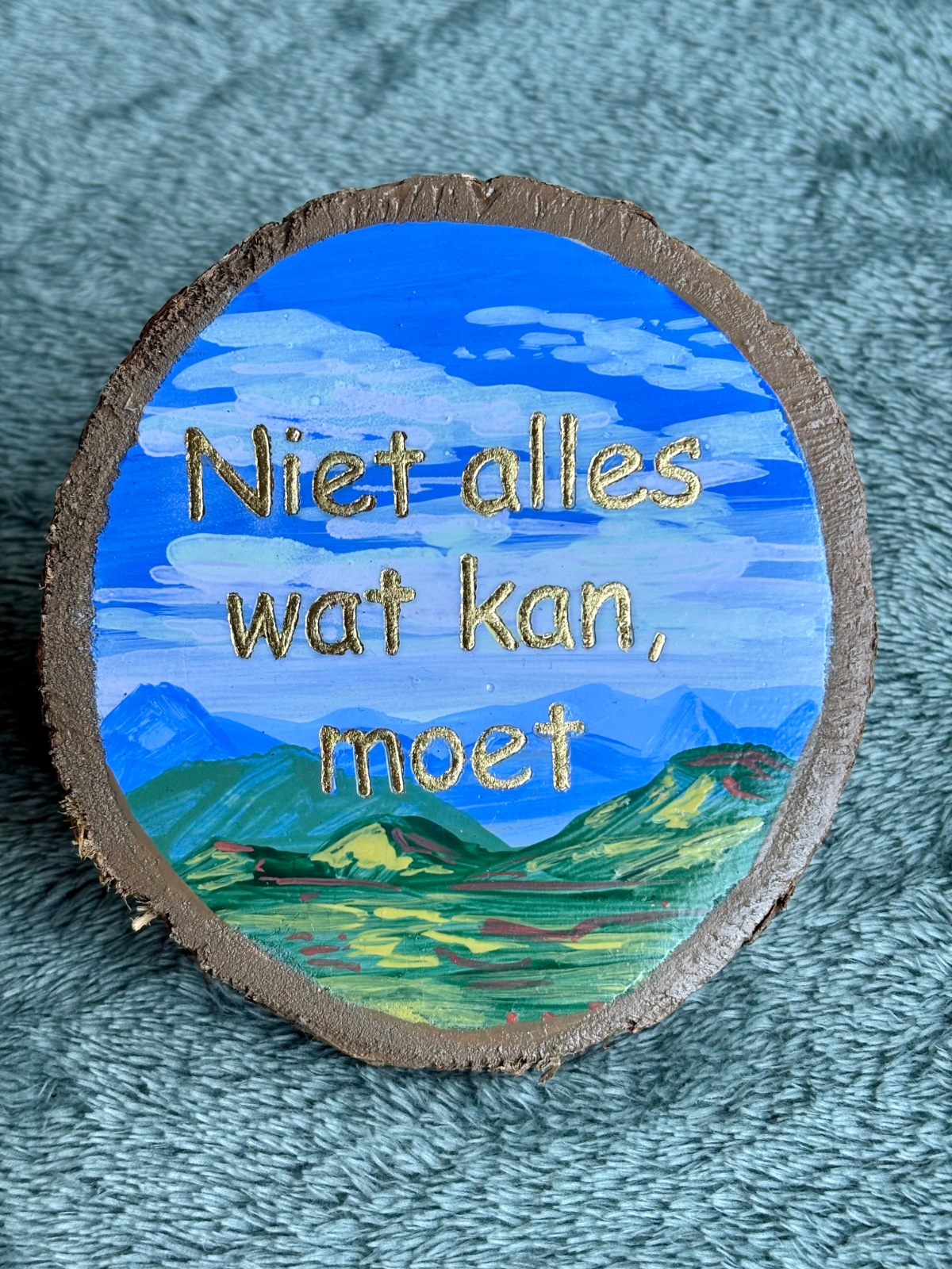 Handgeschilderd inspiratie bordje ‘ Niet alles wat kan, moet’