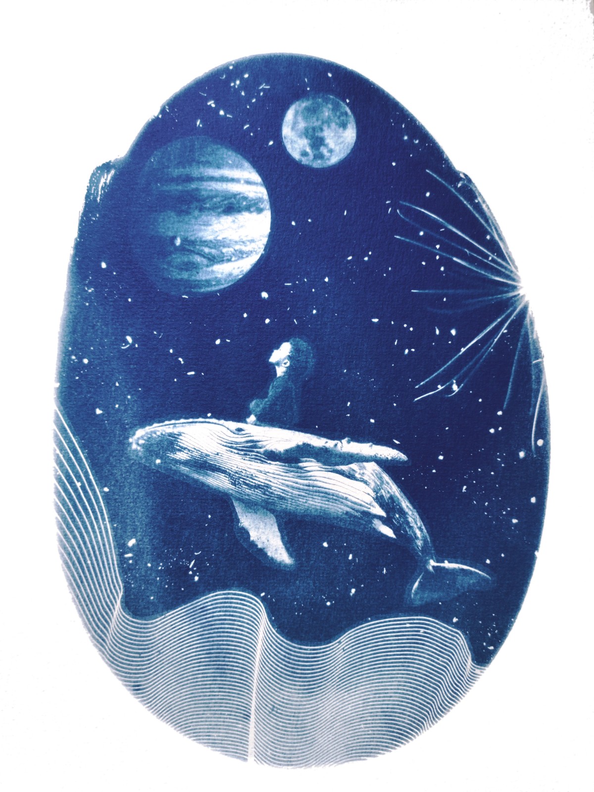 Cyanotype negatieven: kinderen