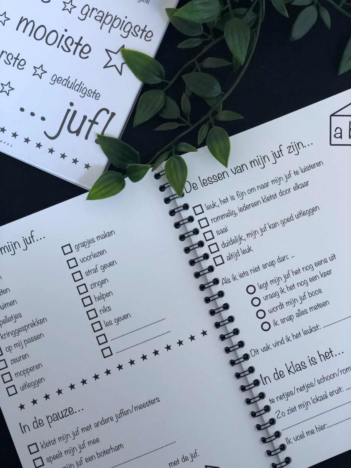 Invulboek voor de Juf – Persoonlijk afscheidscadeau vol herinnering… - 130713 Invulboek voor de Juf – Persoonlijk afscheidscadeau vol herinneringen en lieve berichtjes