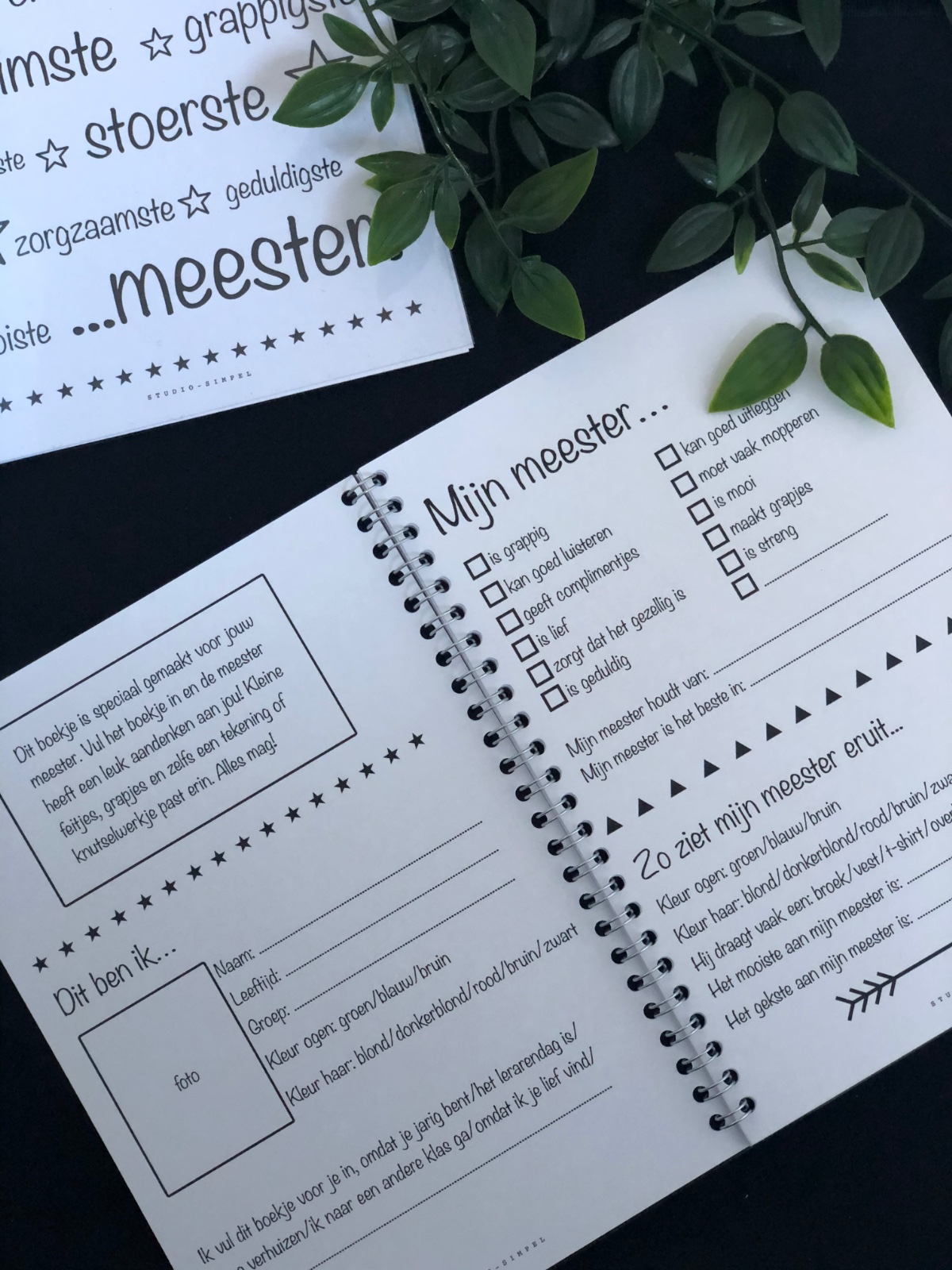 Invulboek voor de Meester – Persoonlijk afscheidscadeau met herinne… - 130716 Invulboek voor de Meester – Persoonlijk afscheidscadeau met herinneringen en lieve boodschappen
