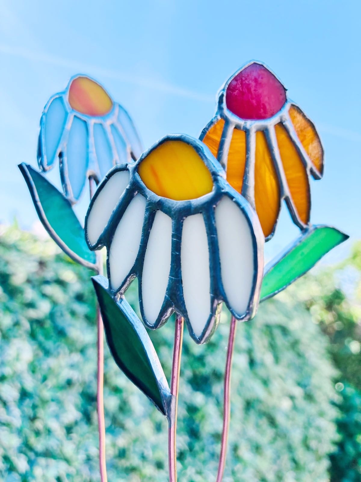 Set van handgemaakte glas-in-loodmadeliefjes met een houten standaard | Tiffany