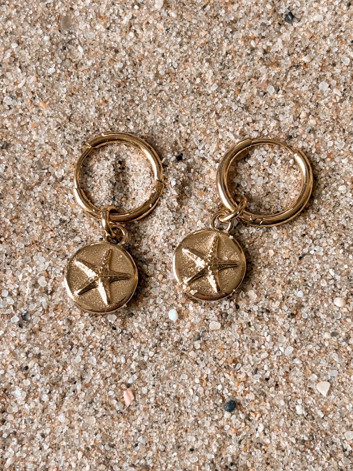 Zeester & Schildpad oorbellen goud - 129039 Zeester & Schildpad oorbellen goud