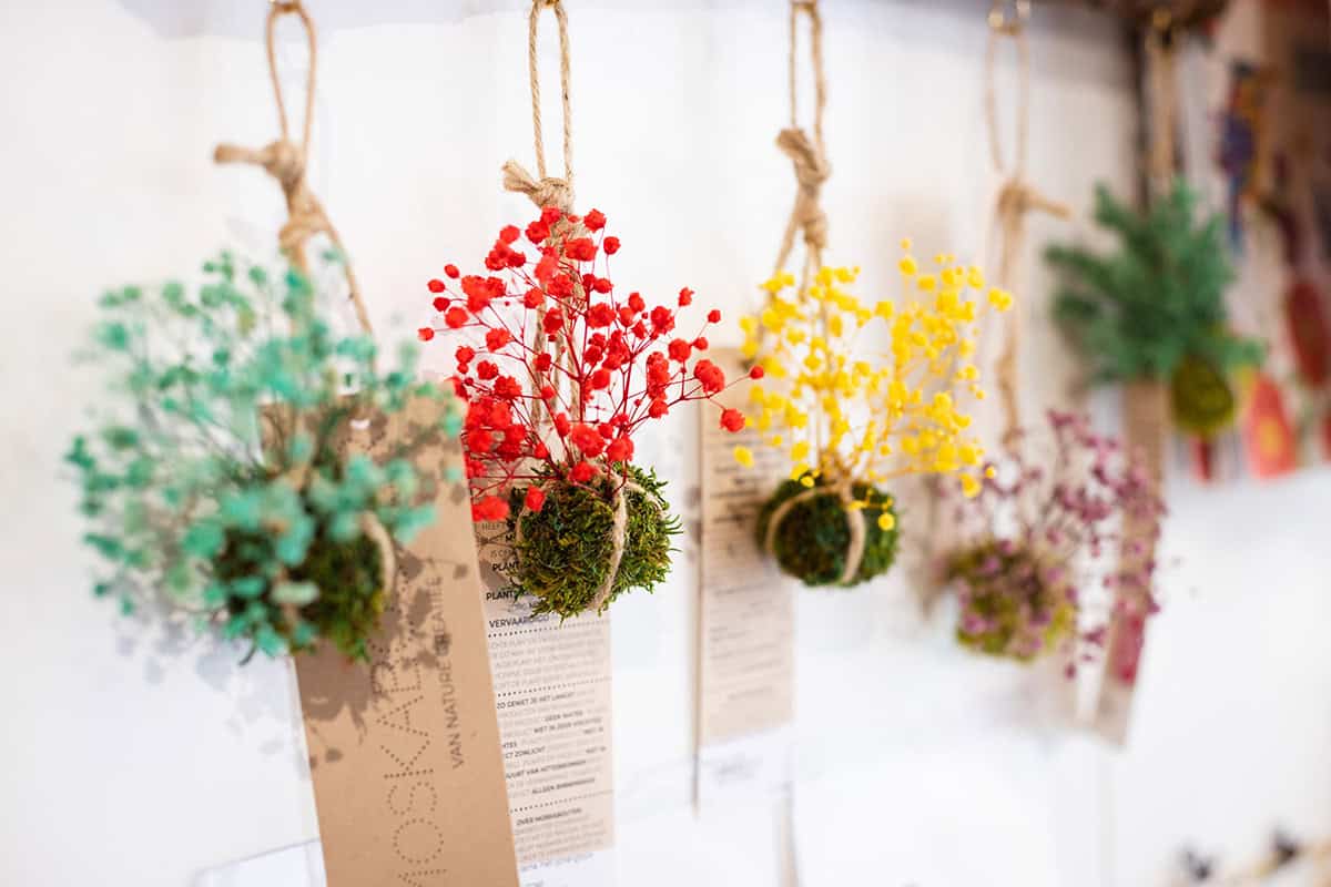 conceptstore