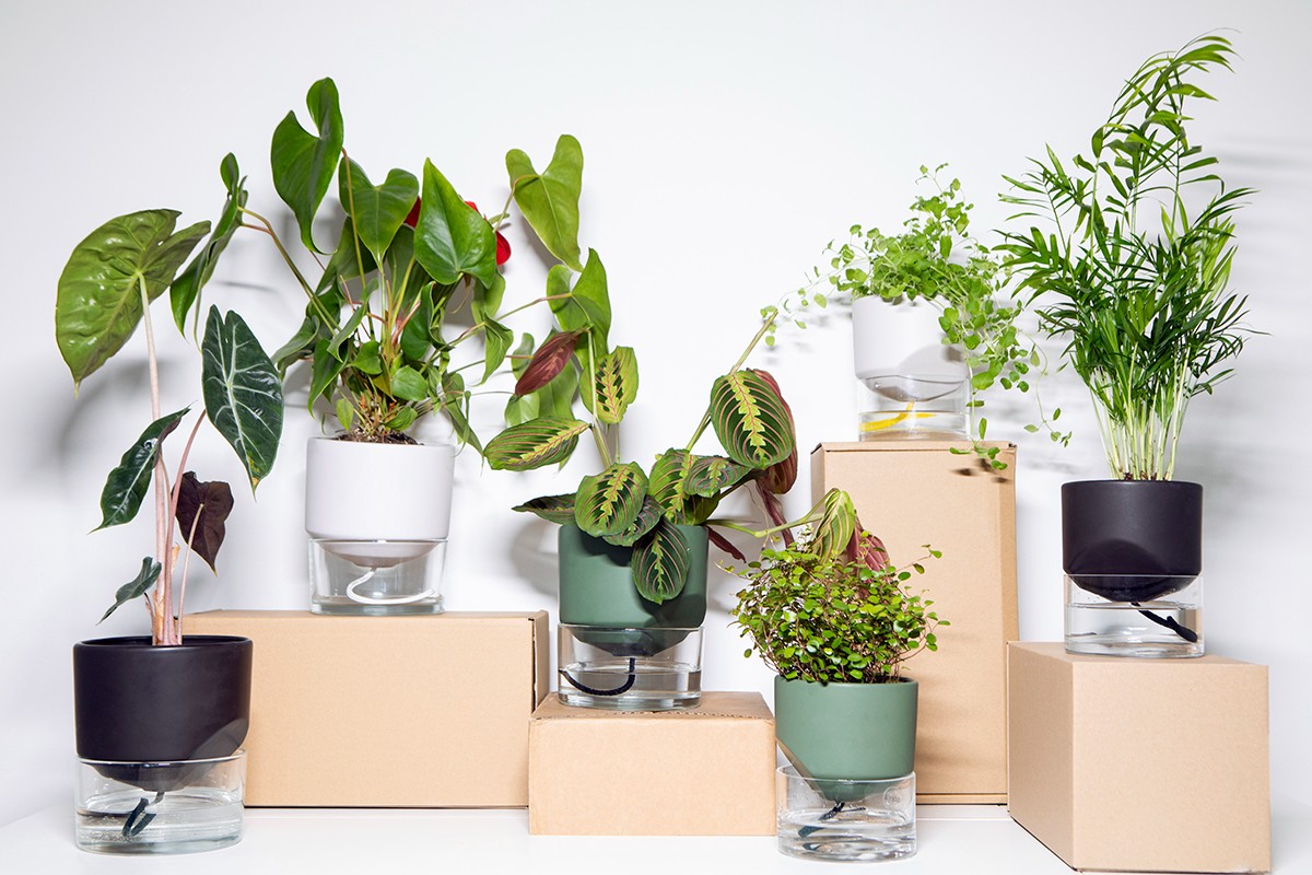 Kapi growing set: Small + Big flowerpot | Green