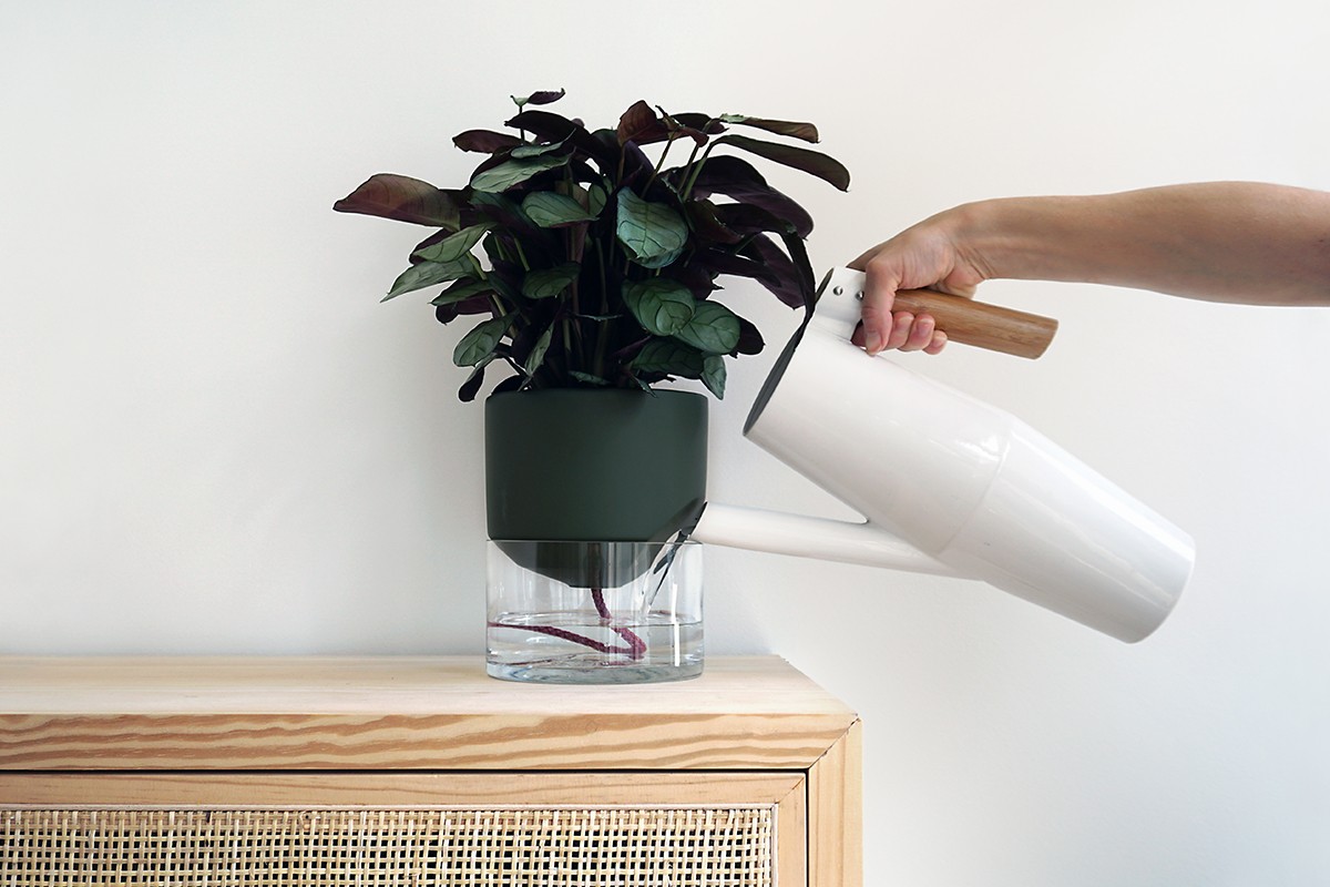 Kapi growing set: Small + Big flowerpot | Green