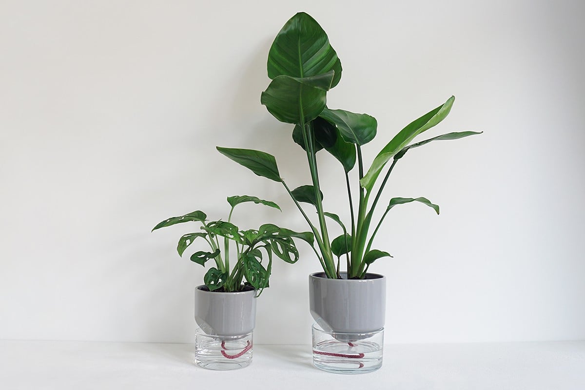 Kapi growing set: Small + Big flowerpot | Sleek gray