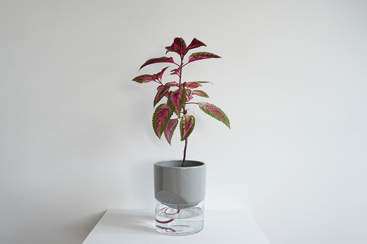 Kapi growing set: Small + Big flowerpot | Sleek gray