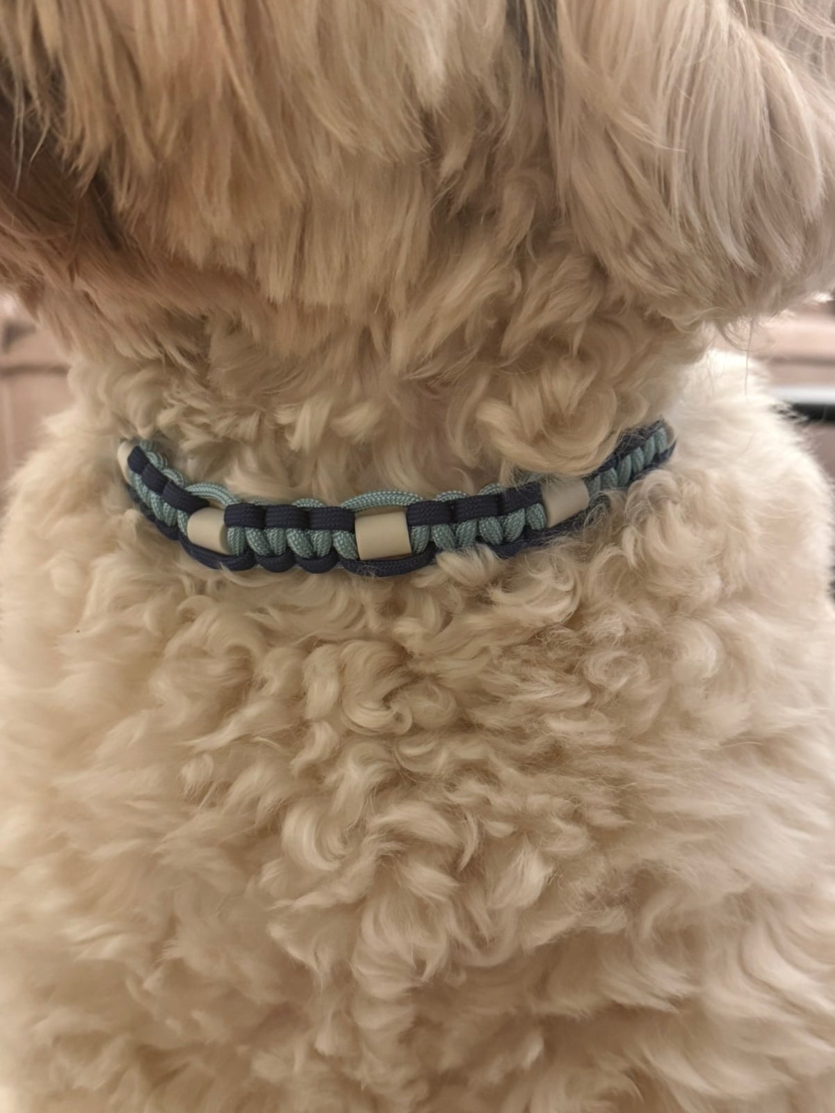 Anti-tekenband blauw