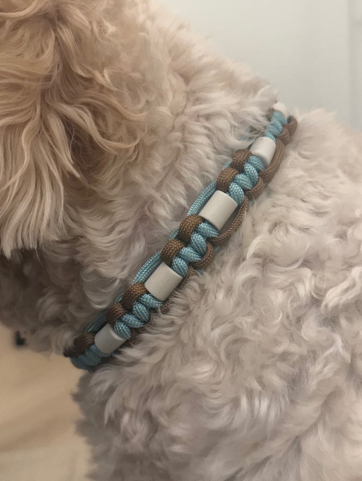 Anti-tekenband bruin/blauw