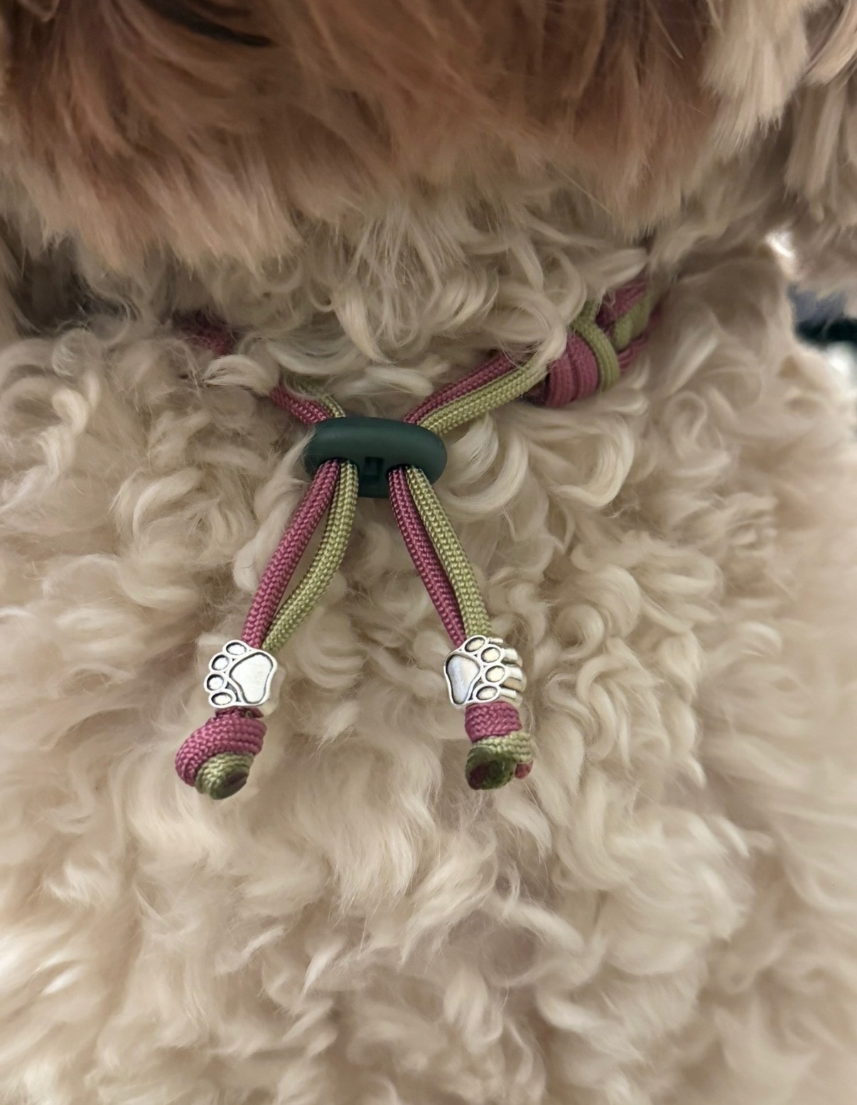 Anti-tekenband groen/roze