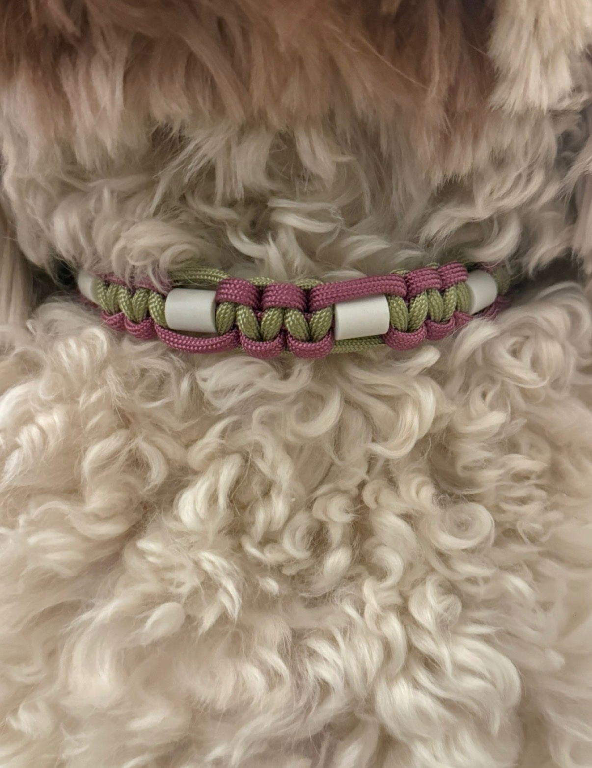 Anti-tekenband groen/roze