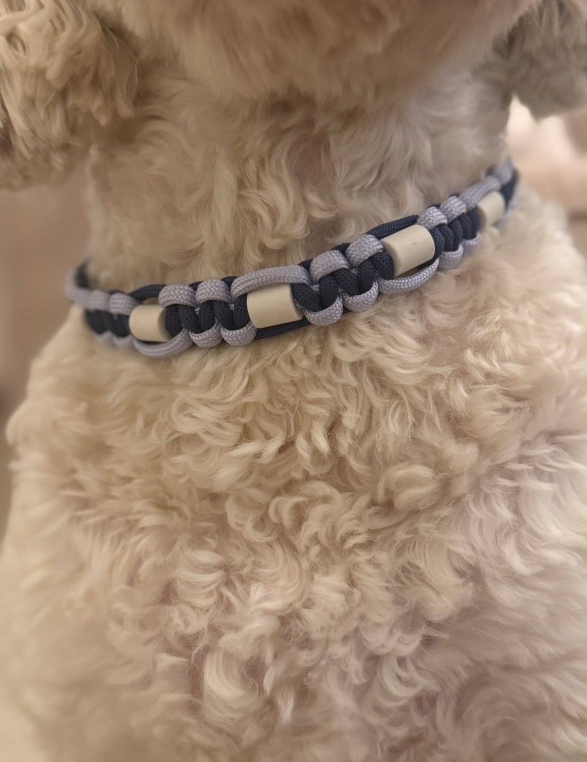 Anti-tekenband paars/donker blauw