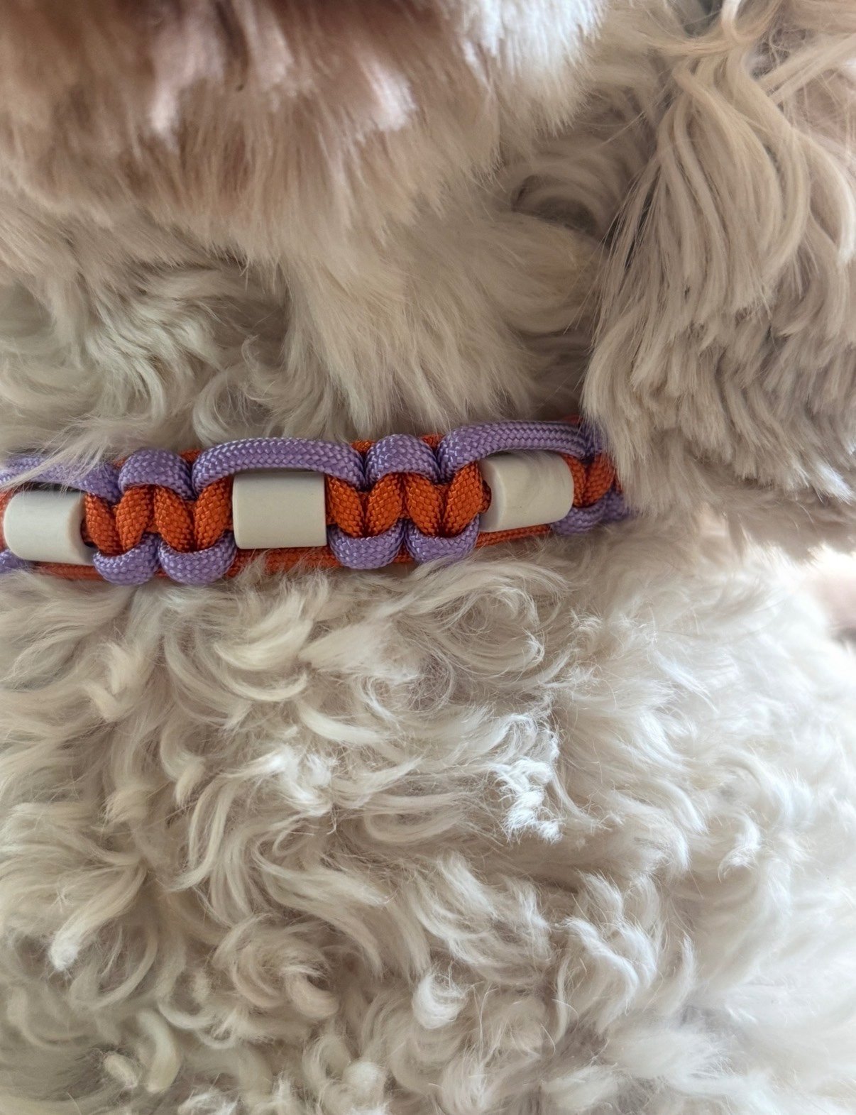 Anti-tekenband oranje paars