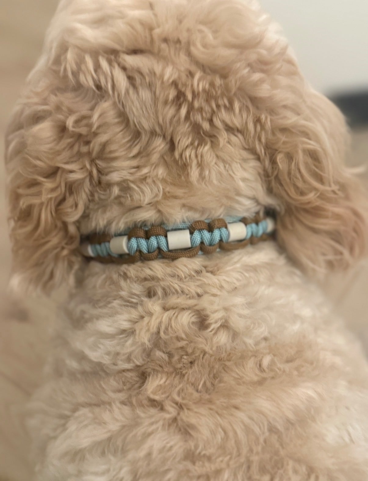 Anti-tekenband bruin/blauw