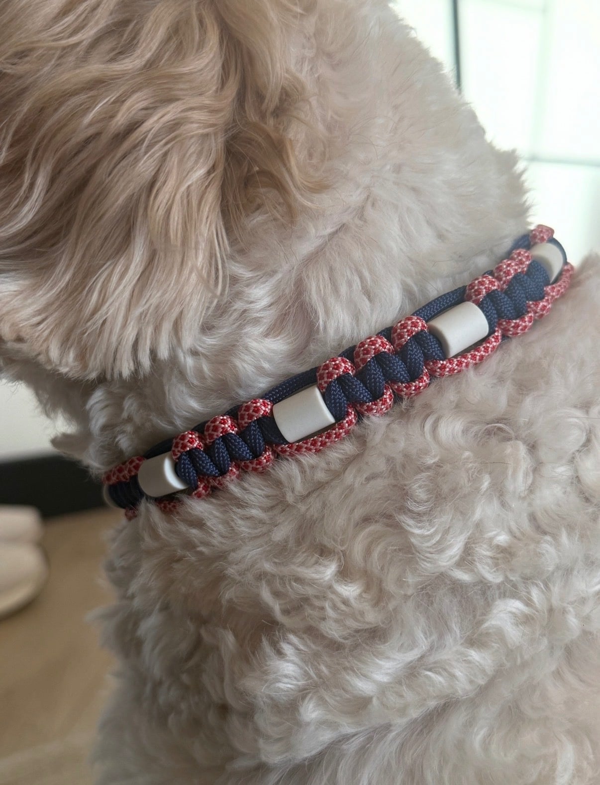 Anti-tekenband blauw/rood