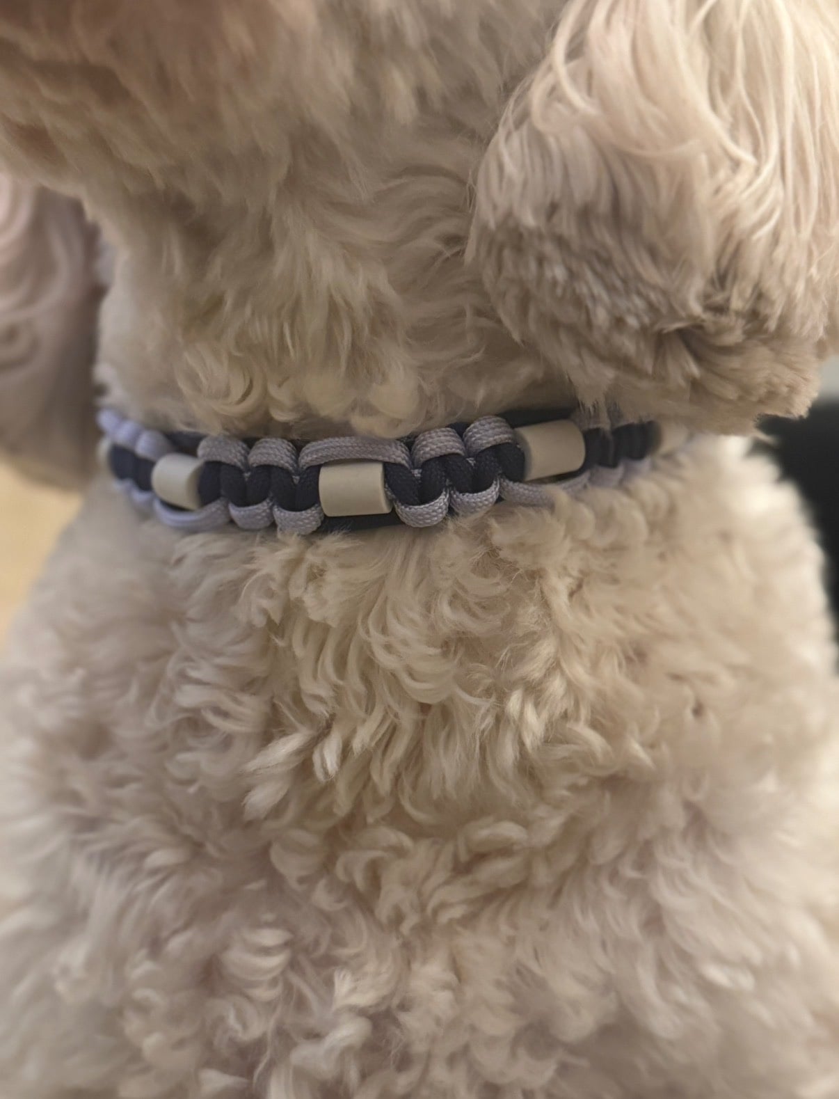 Anti-tekenband paars/donker blauw