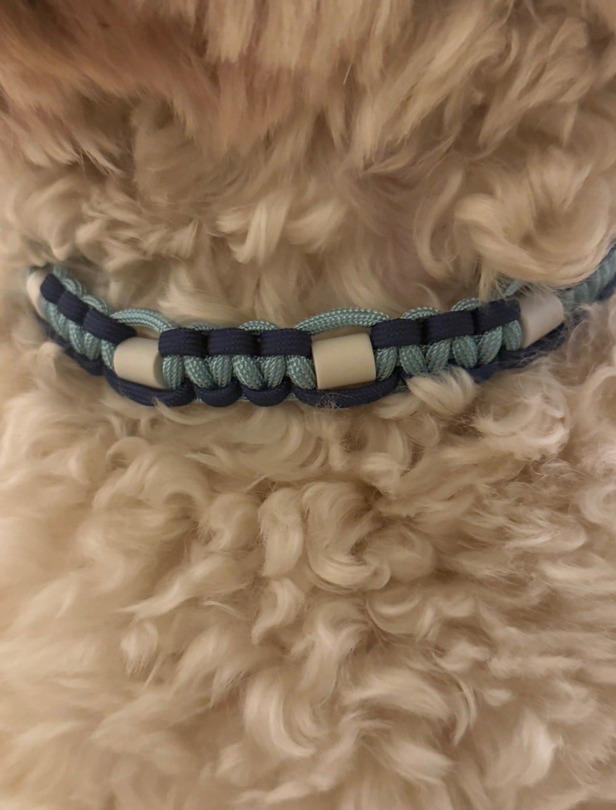 Anti-tekenband blauw