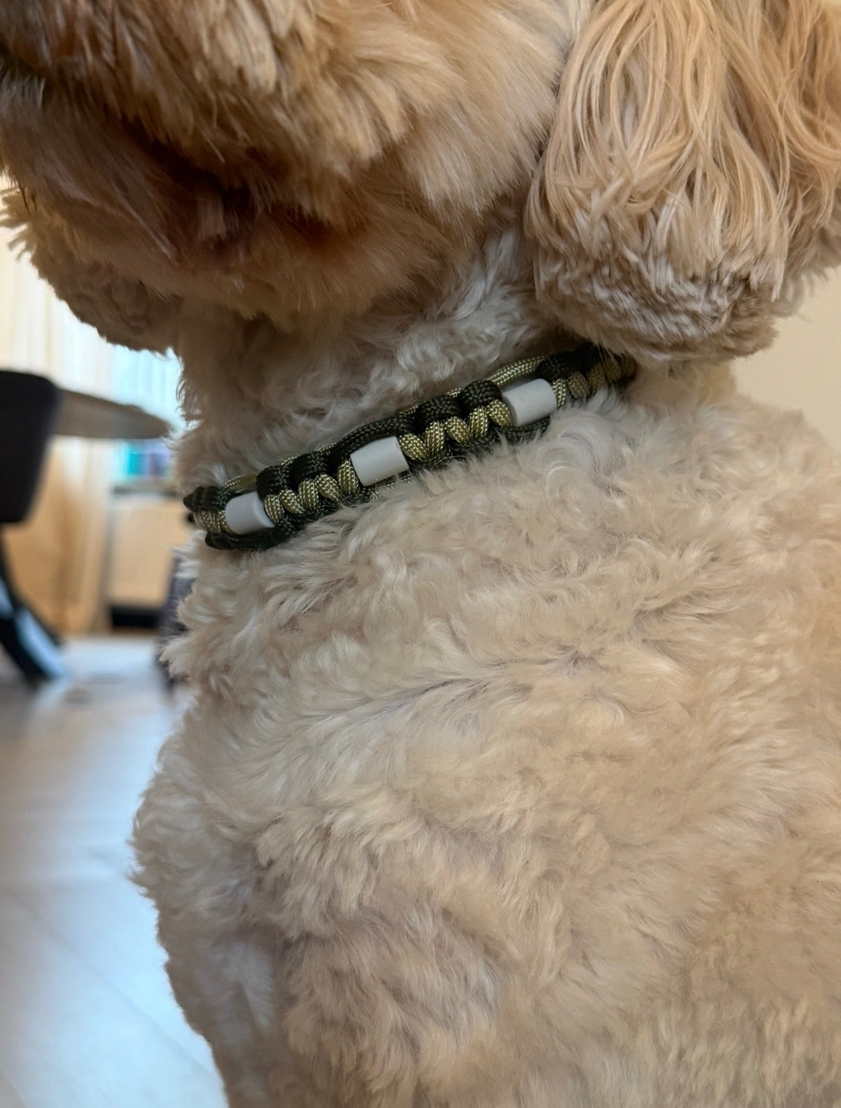 Anti-tekenband groen