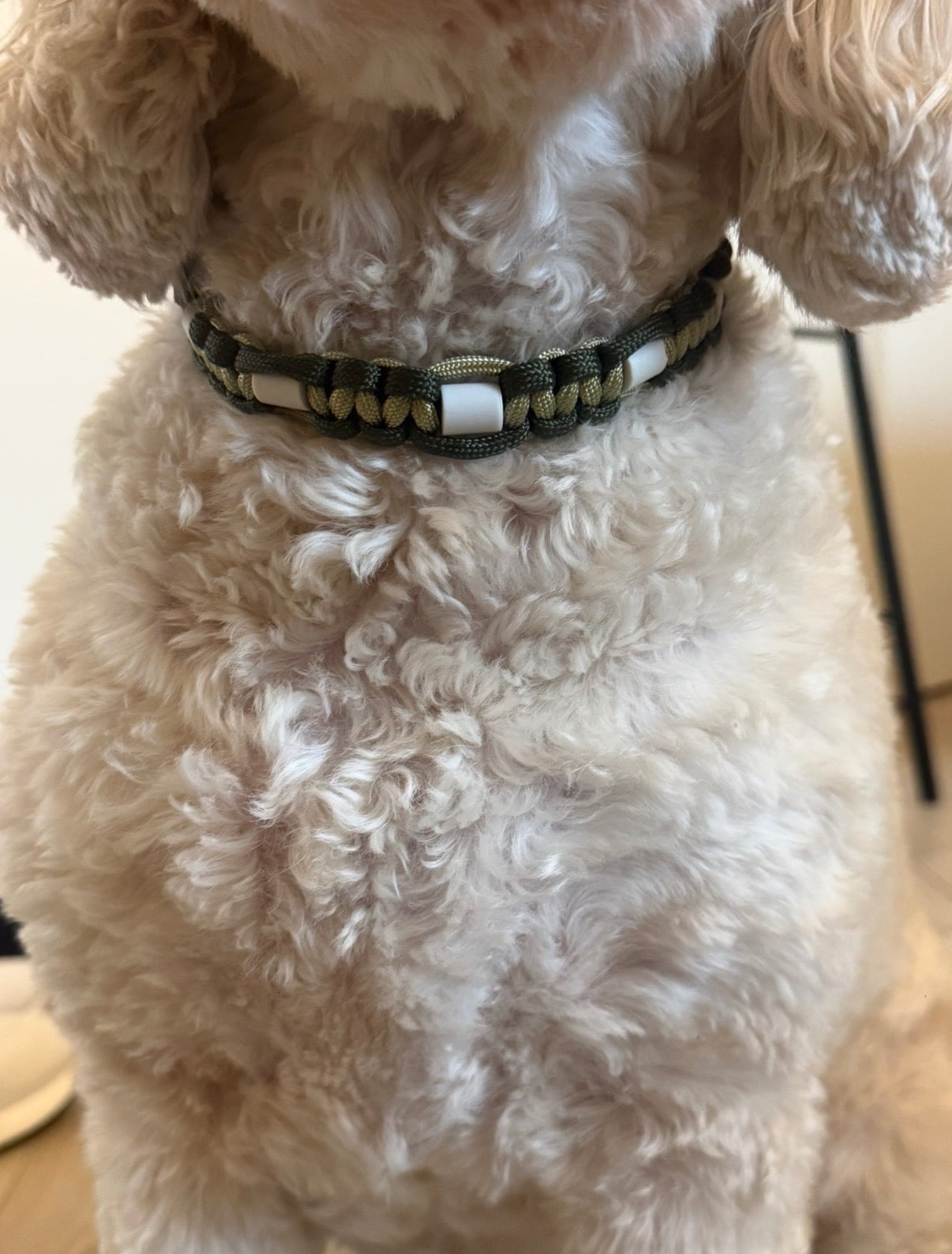 Anti-tekenband groen