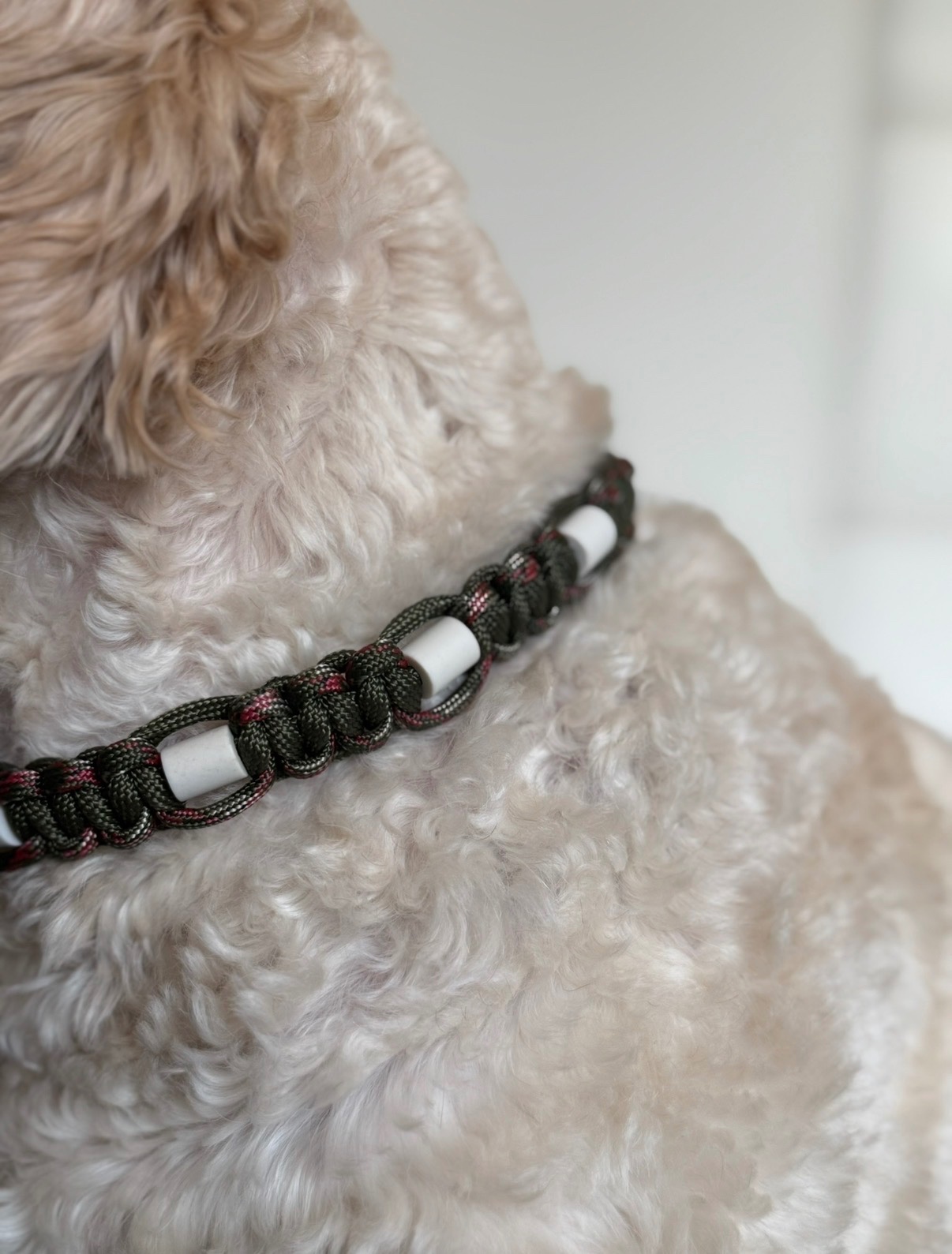 Anti-tekenhalsband base army