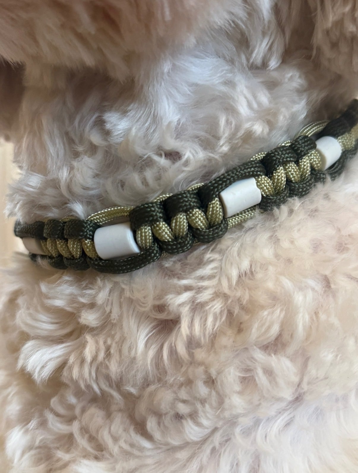 Anti-tekenband groen