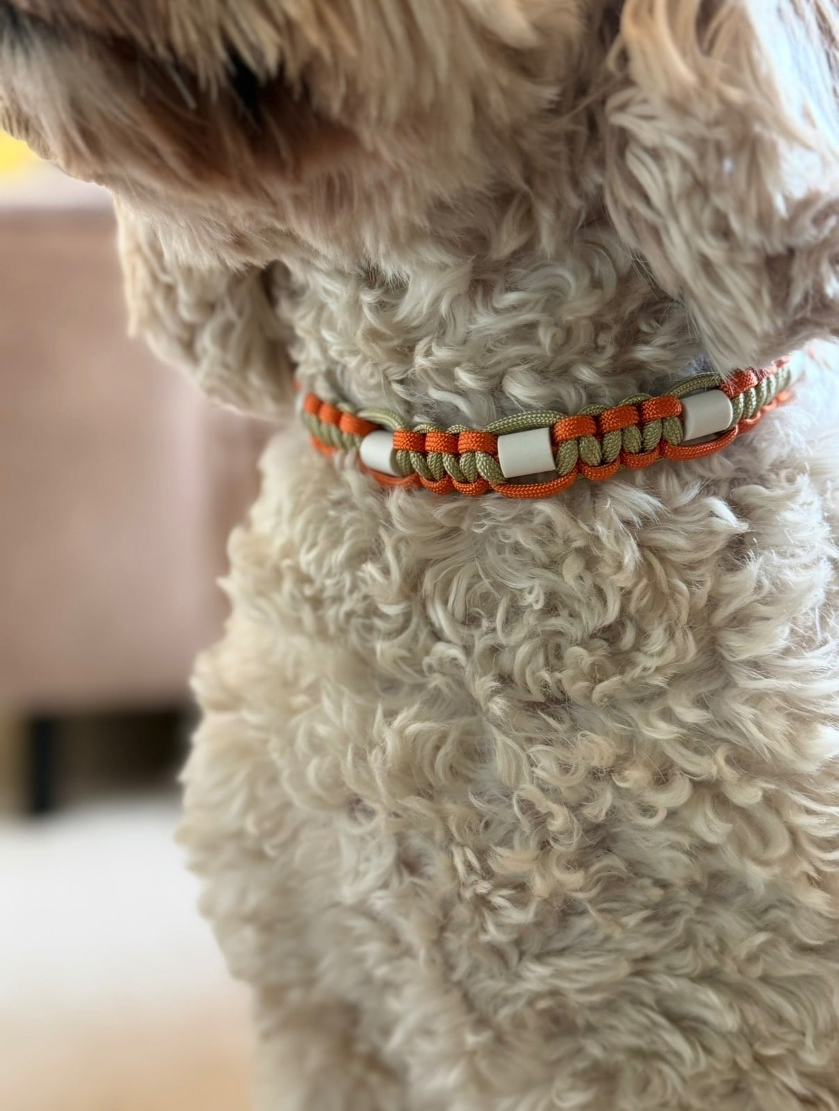 Anti-tekenband/halsband oranje, groen op maat gemaakt