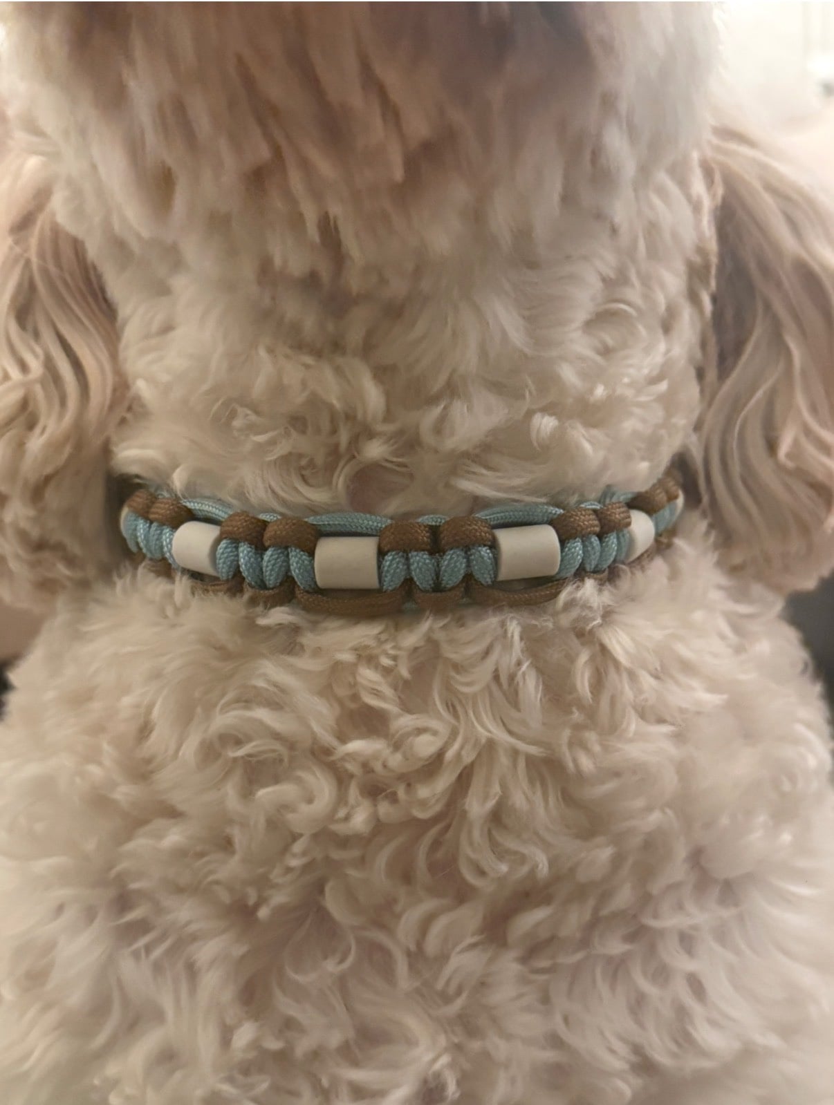 Anti-tekenband bruin/blauw