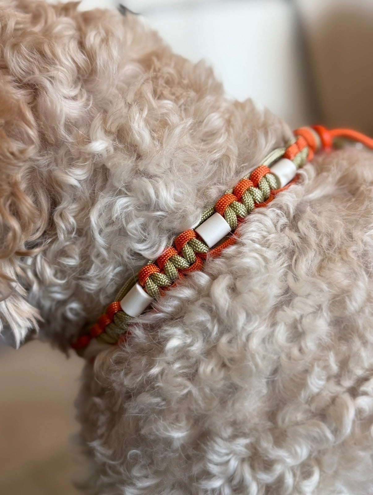 Anti-tekenband/halsband oranje, groen op maat gemaakt