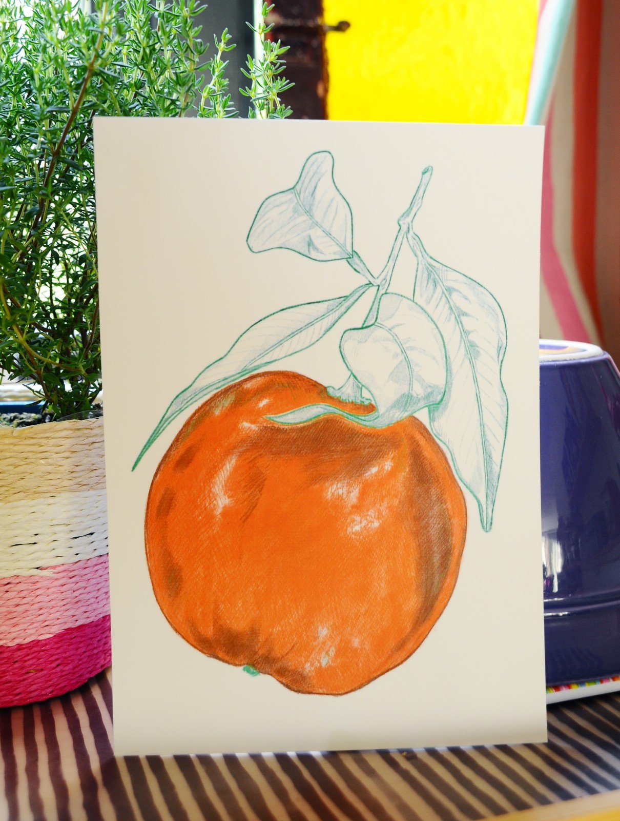 Sinaasappel A5 Print, Pen en Potlood Tekening